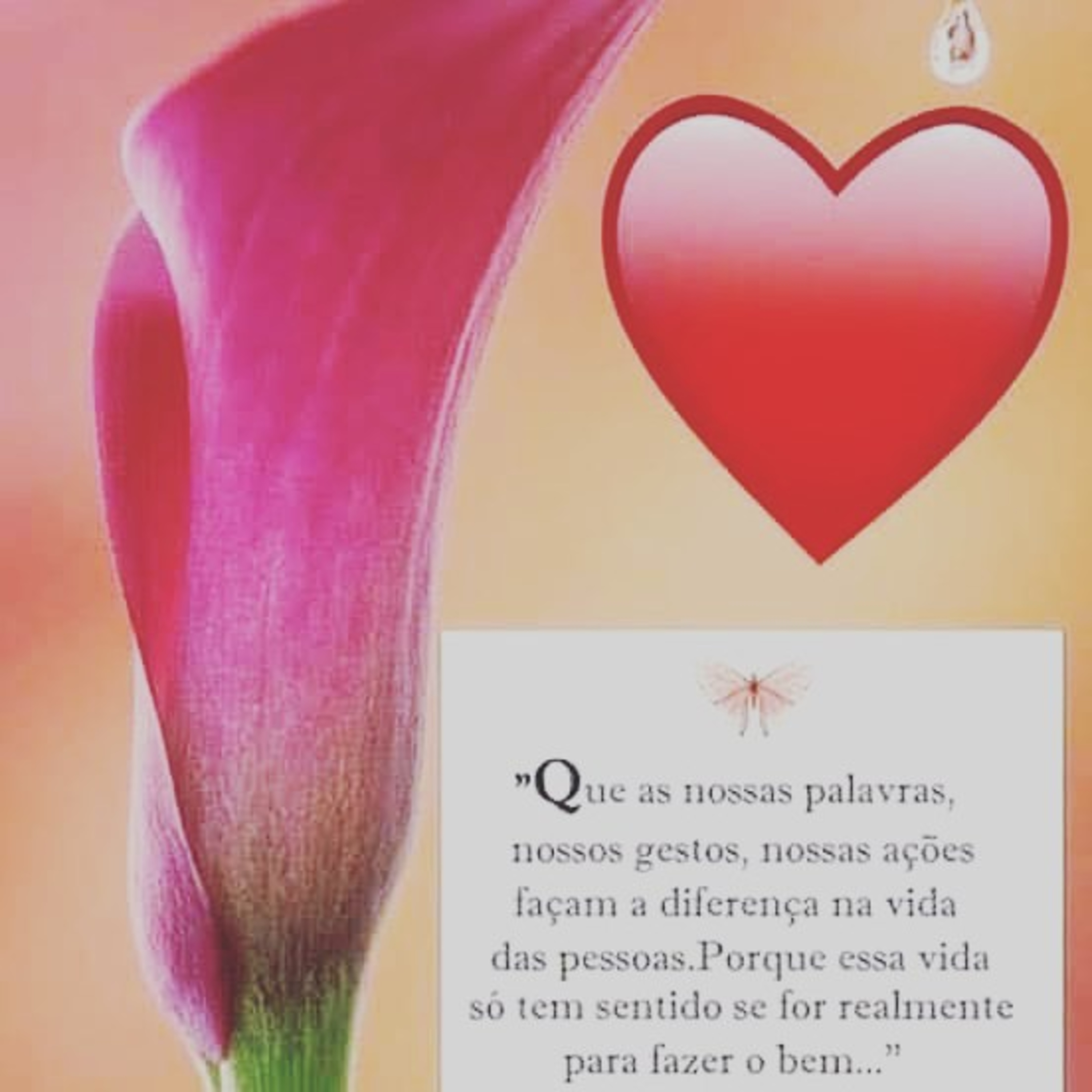 Limpeza para Paz Interior episode artwork