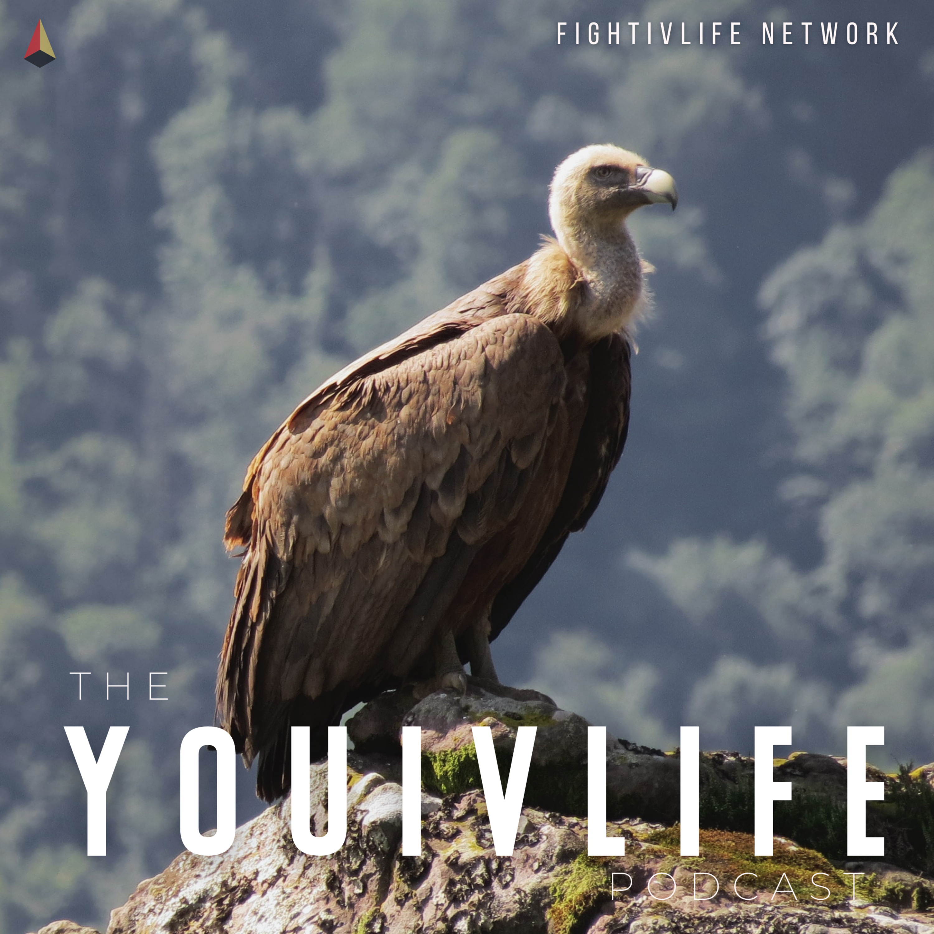 THE YOUIVLIFE PODCAST