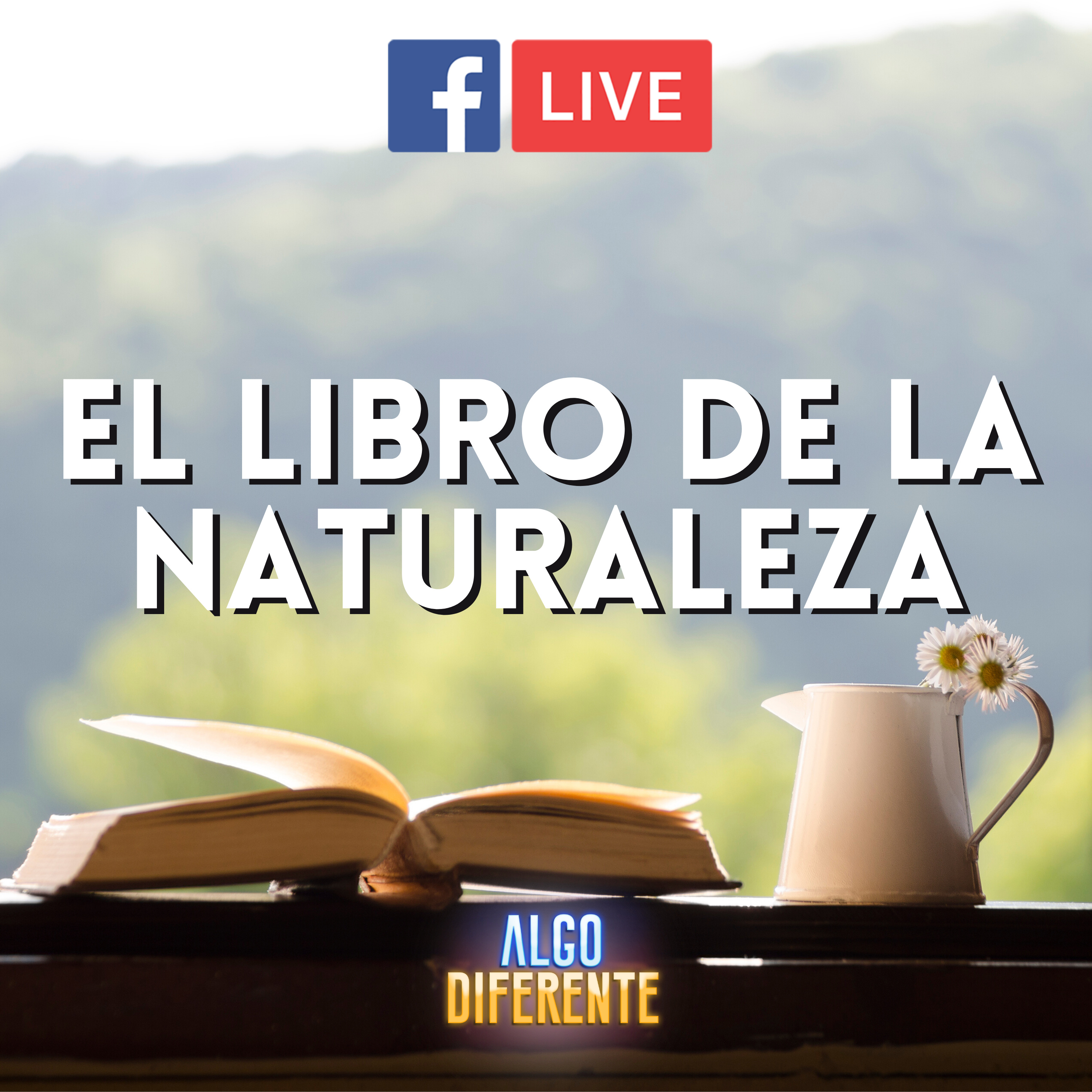Algo Diferente Ministry