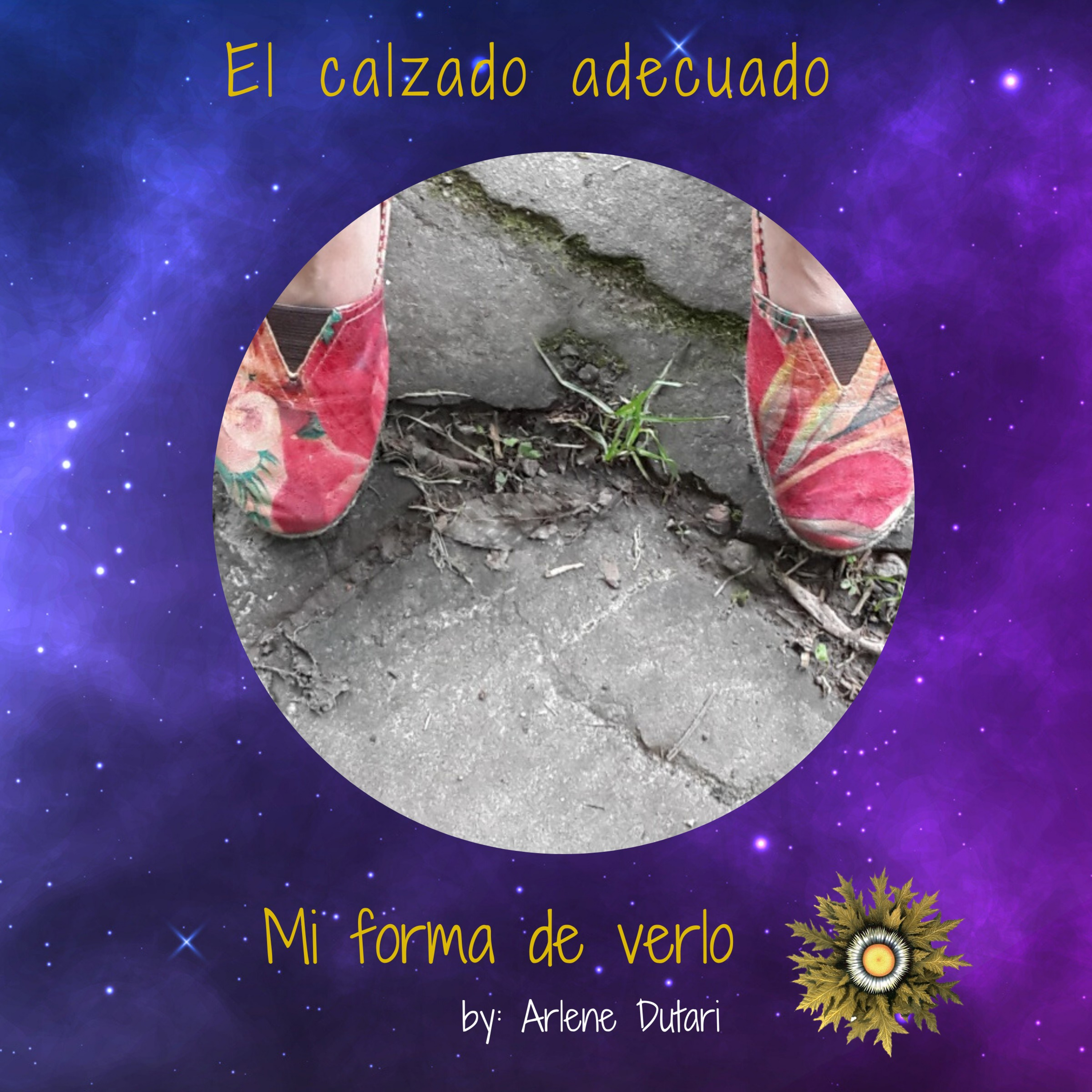 Mi forma de verlo