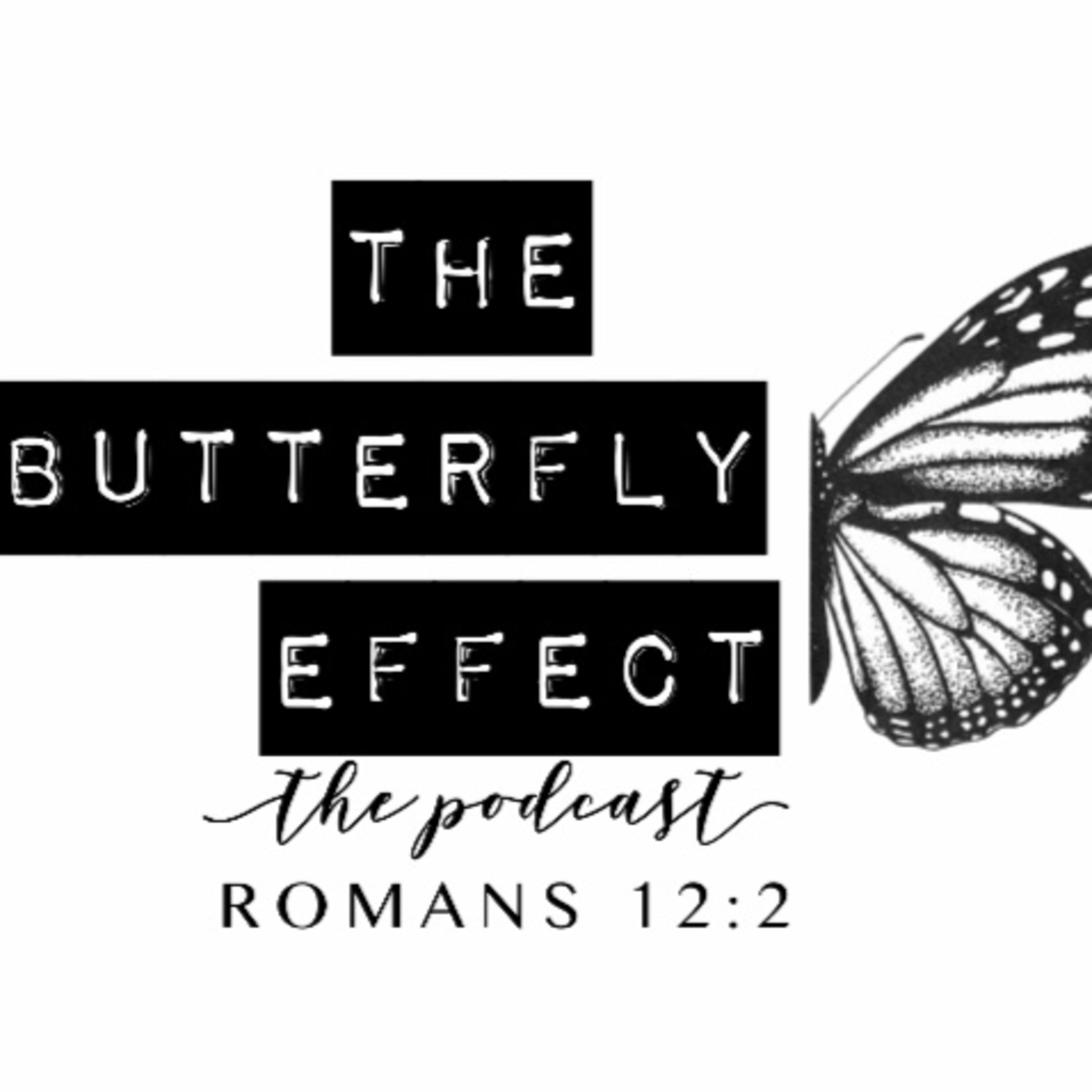 The Butterfly Effect The Podcast