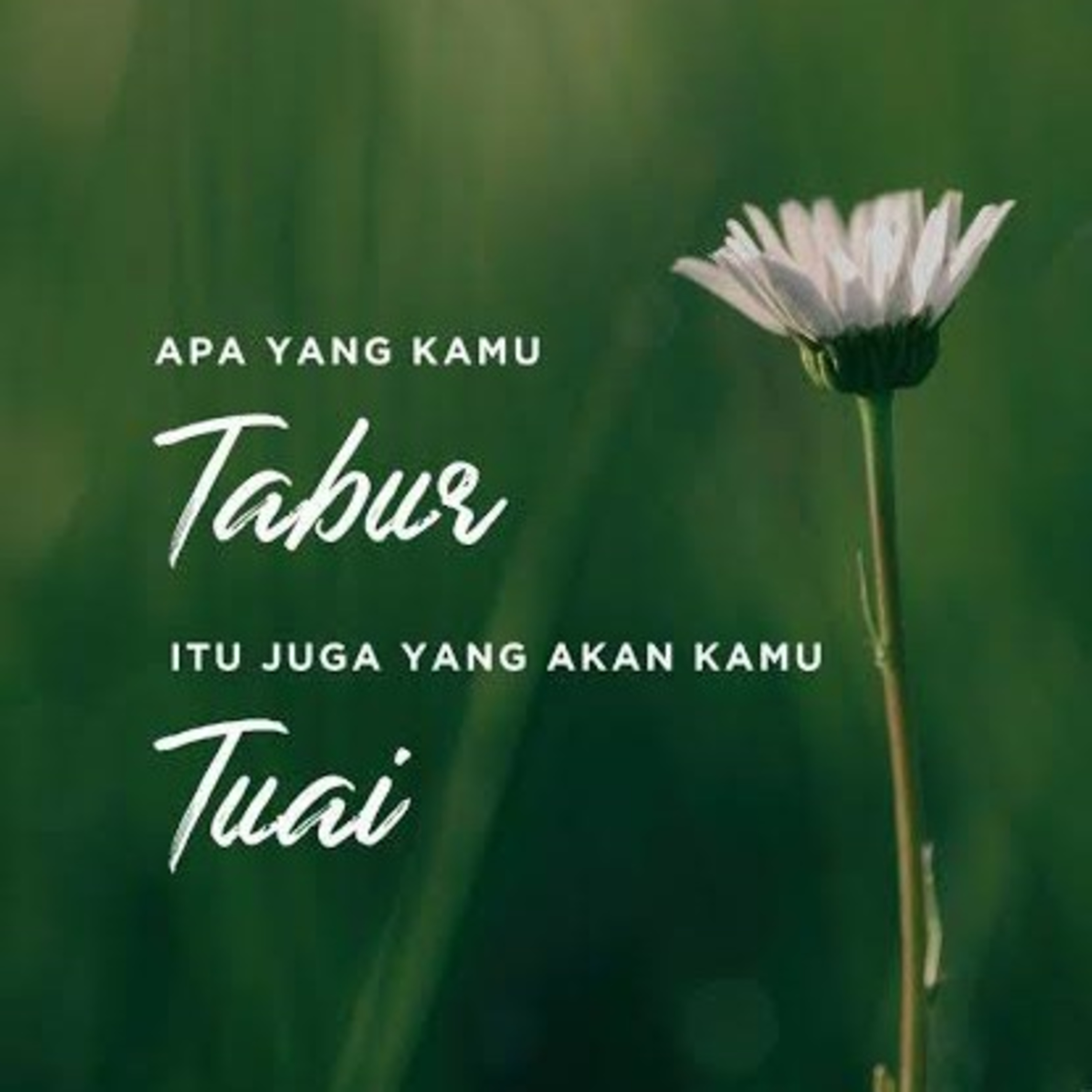 INI BETA
