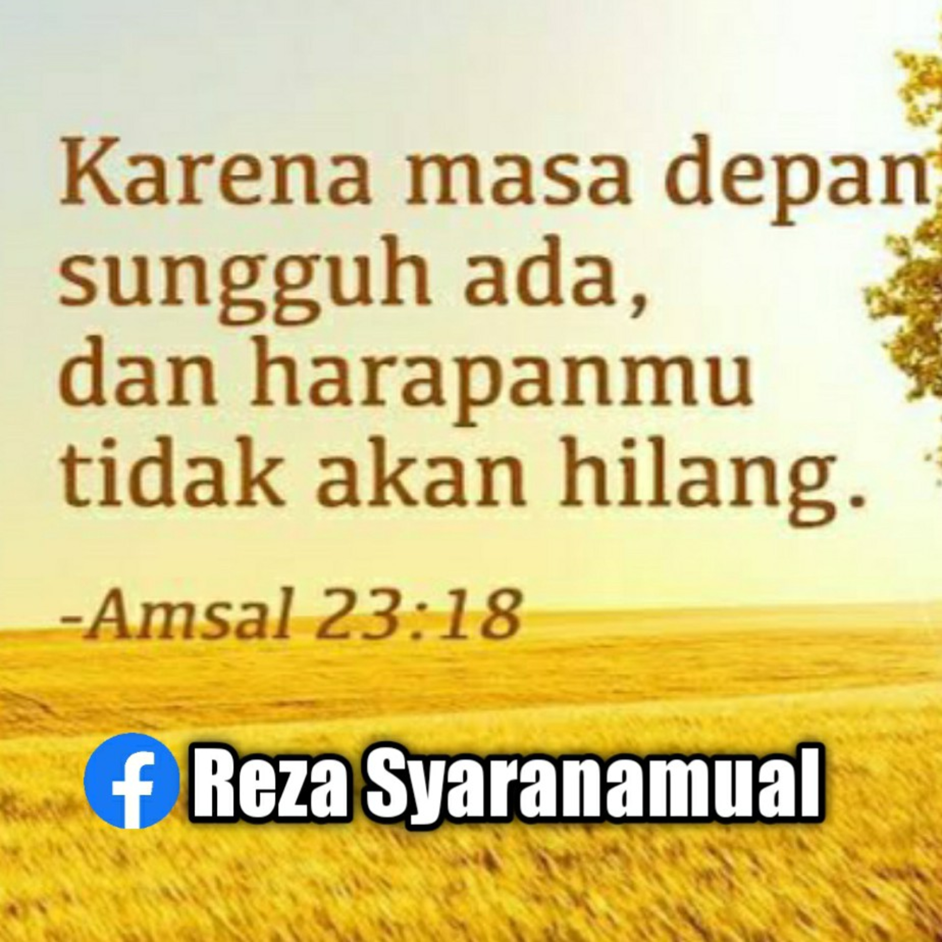 INI BETA