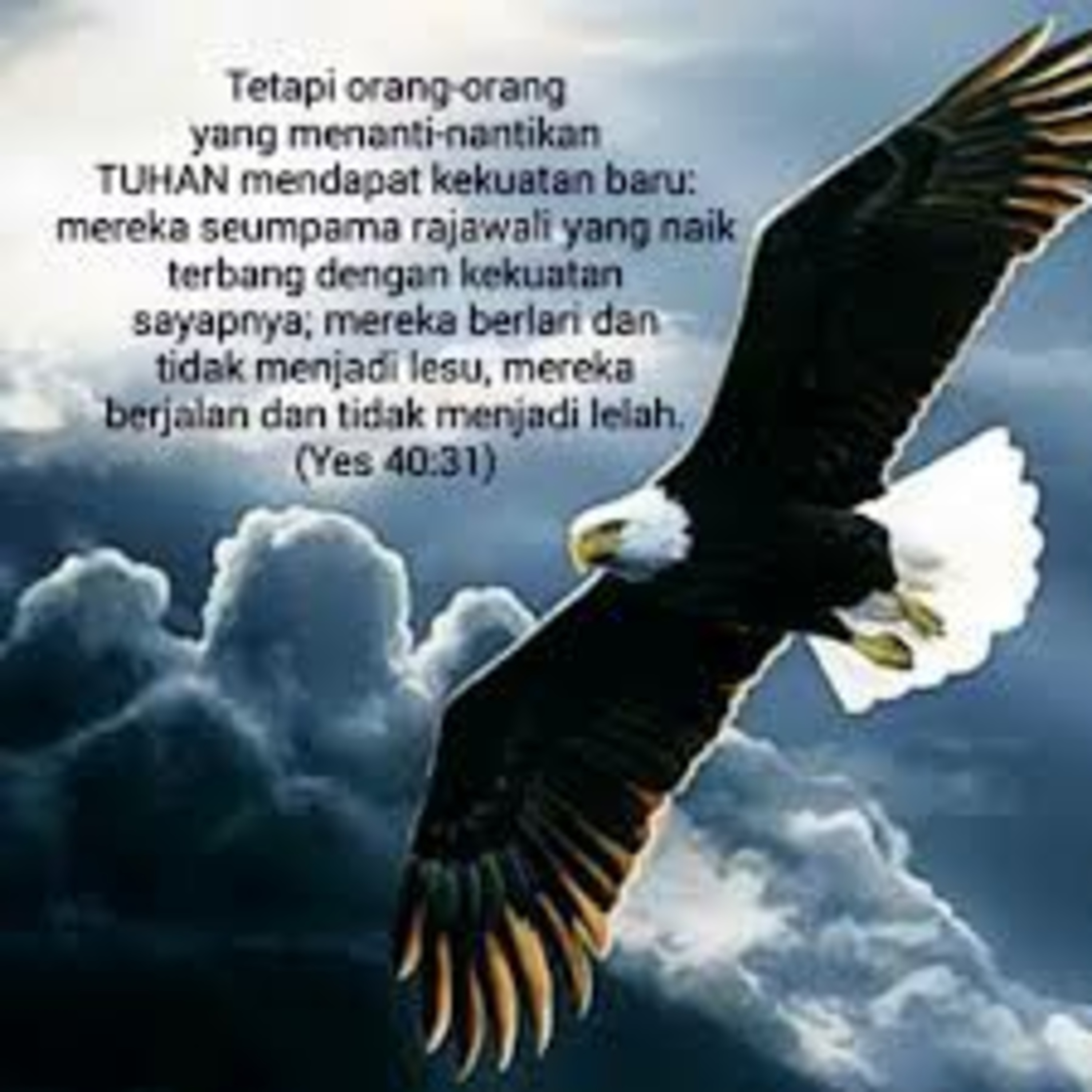 INI BETA