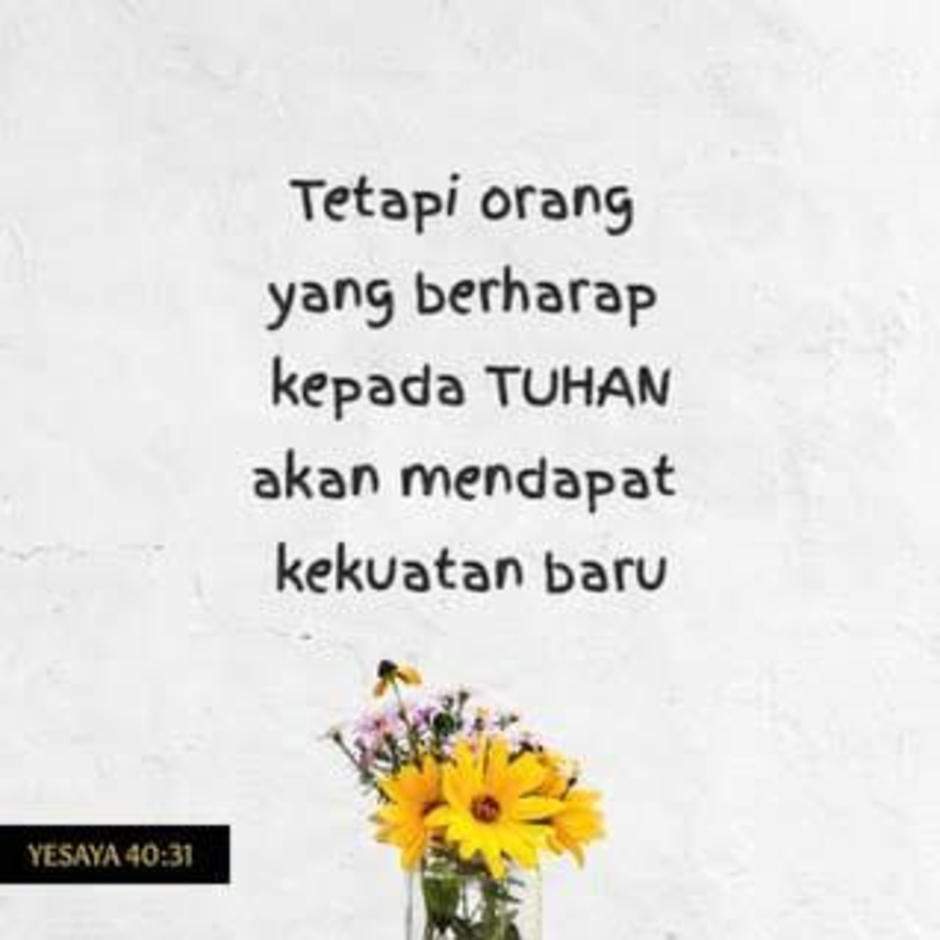 INI BETA