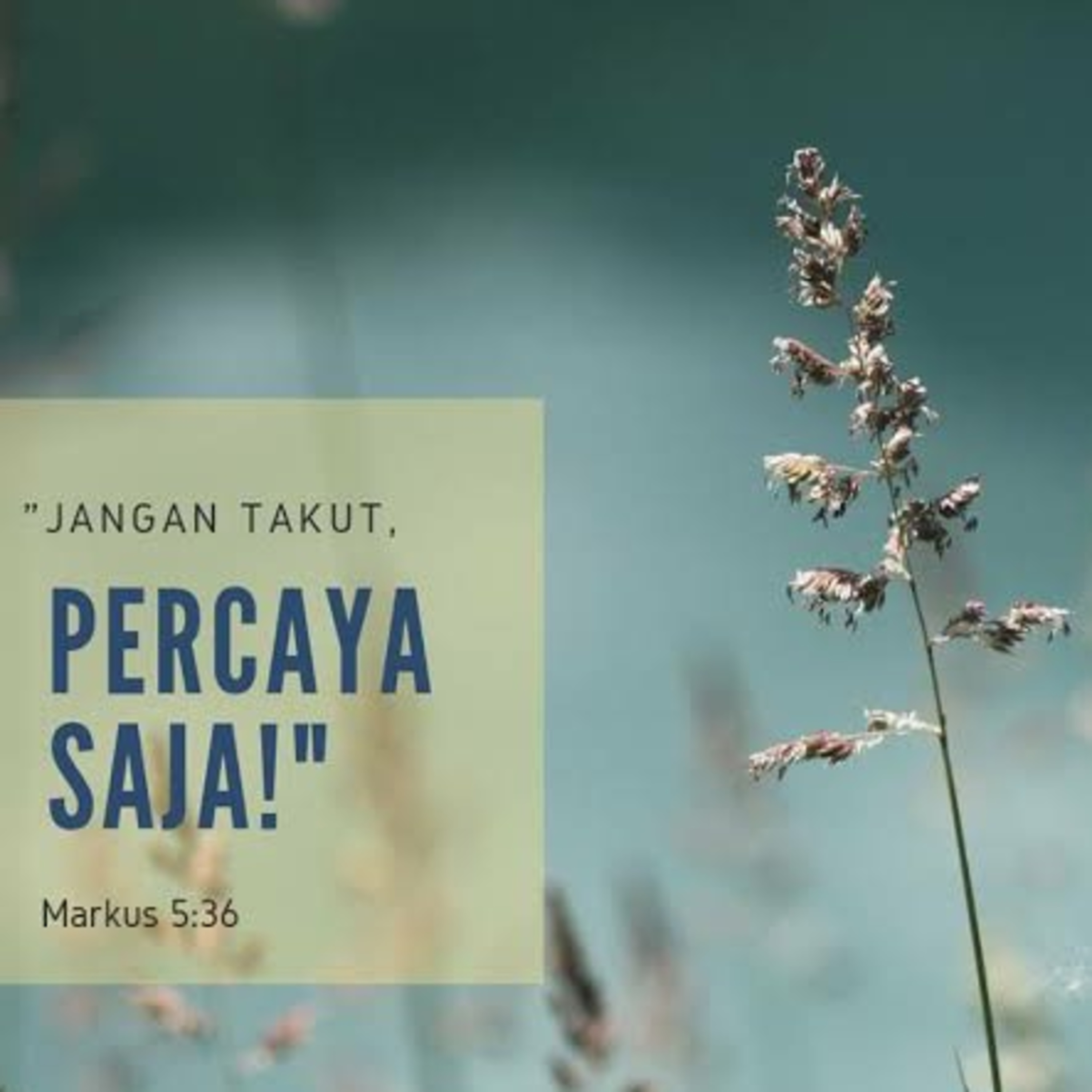 INI BETA