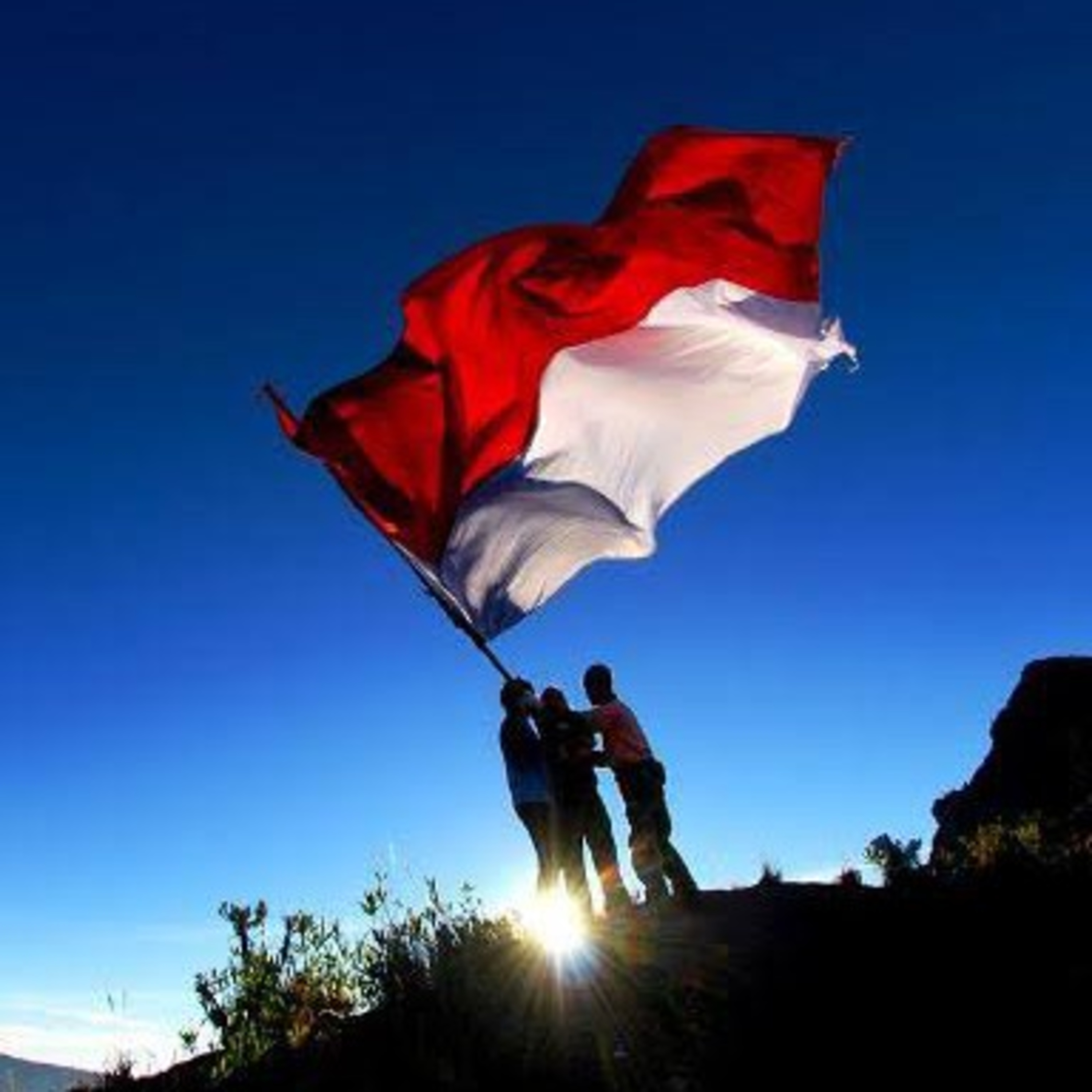 INI BETA