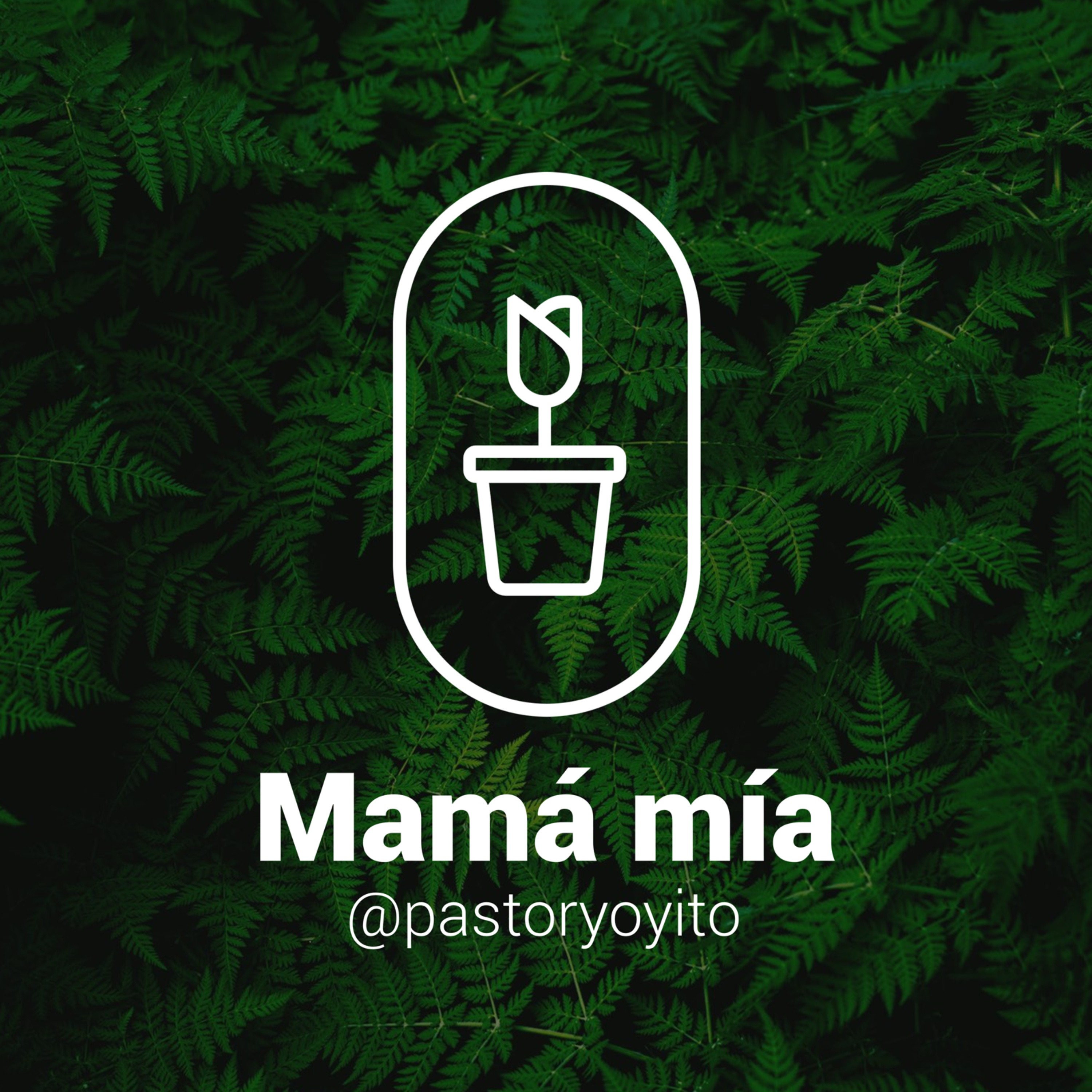 Mama mia ! episode artwork
