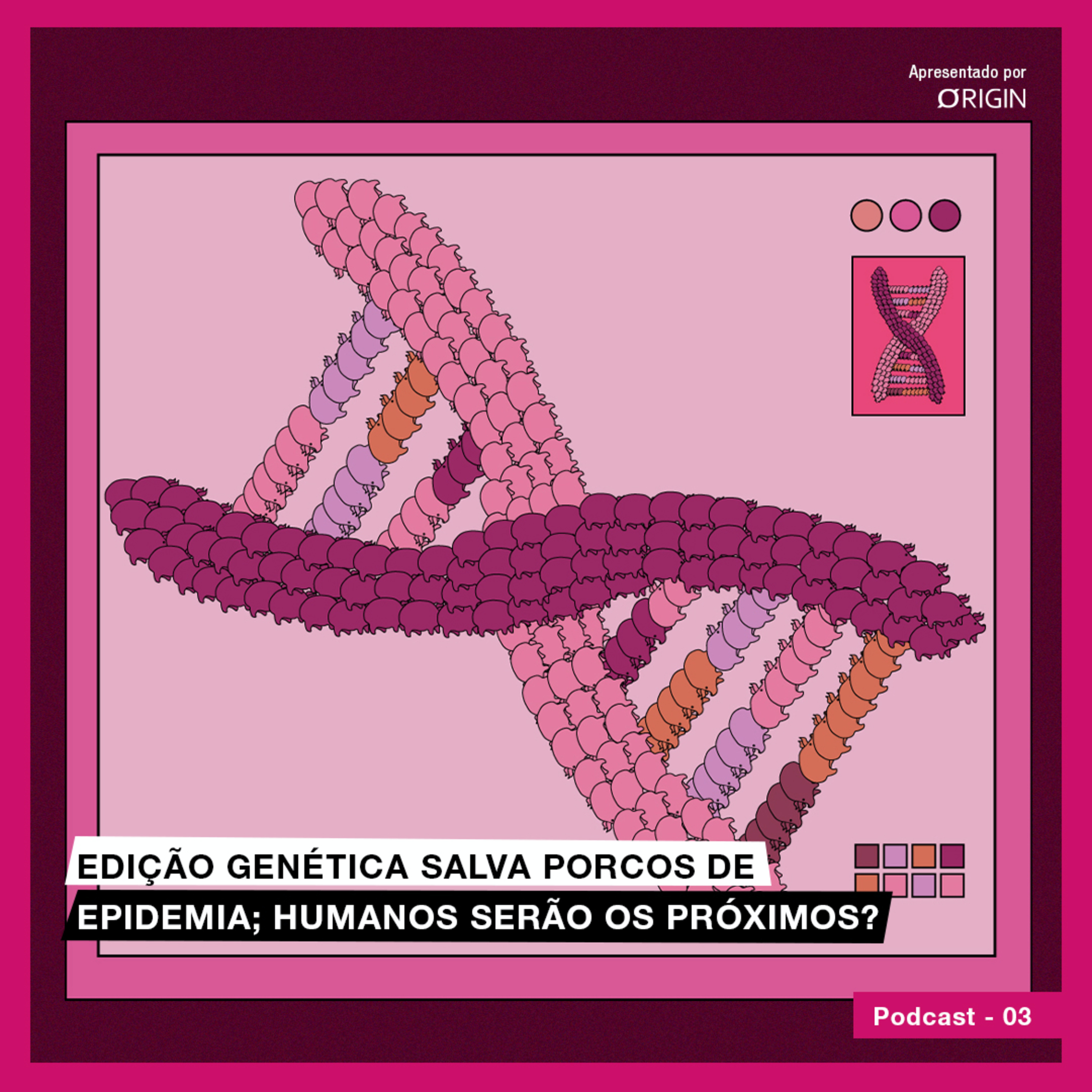 Edição genética salva porcos de epidemia; humanos serão os próximos?
