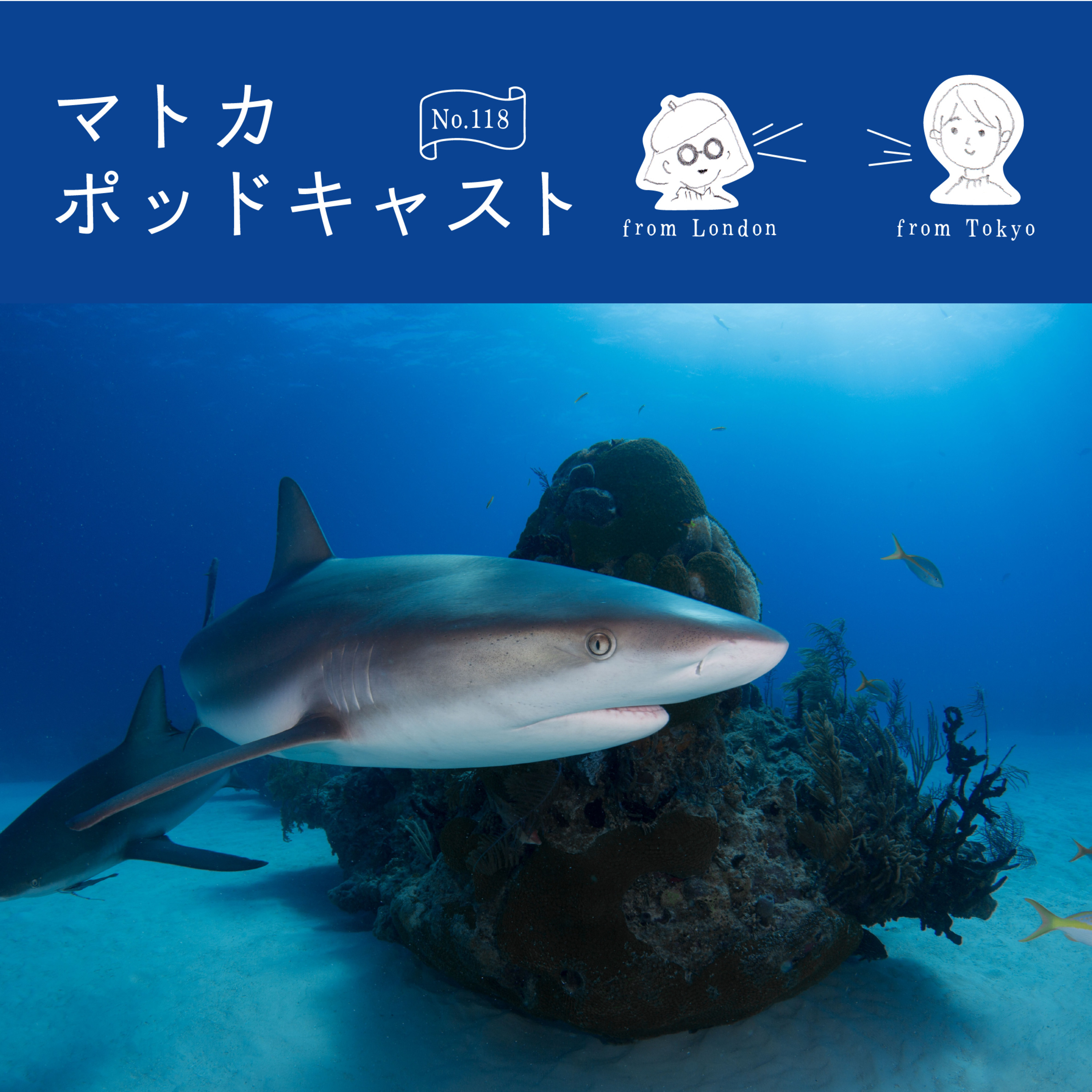 Netflixドキュメンタリー『Seaspiracy: 偽りのサステイナブル漁業』について episode artwork