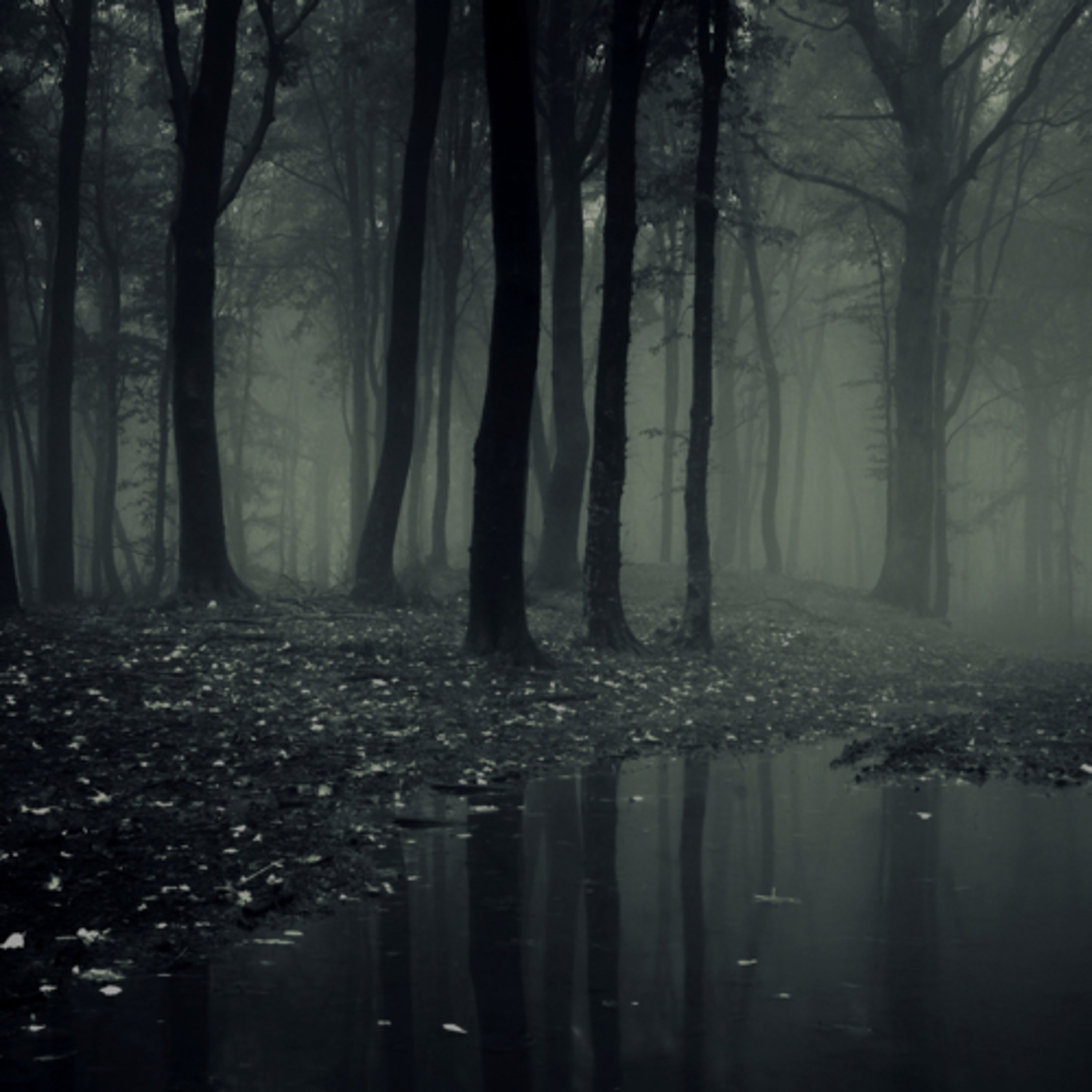 Horror stories episode artwork
