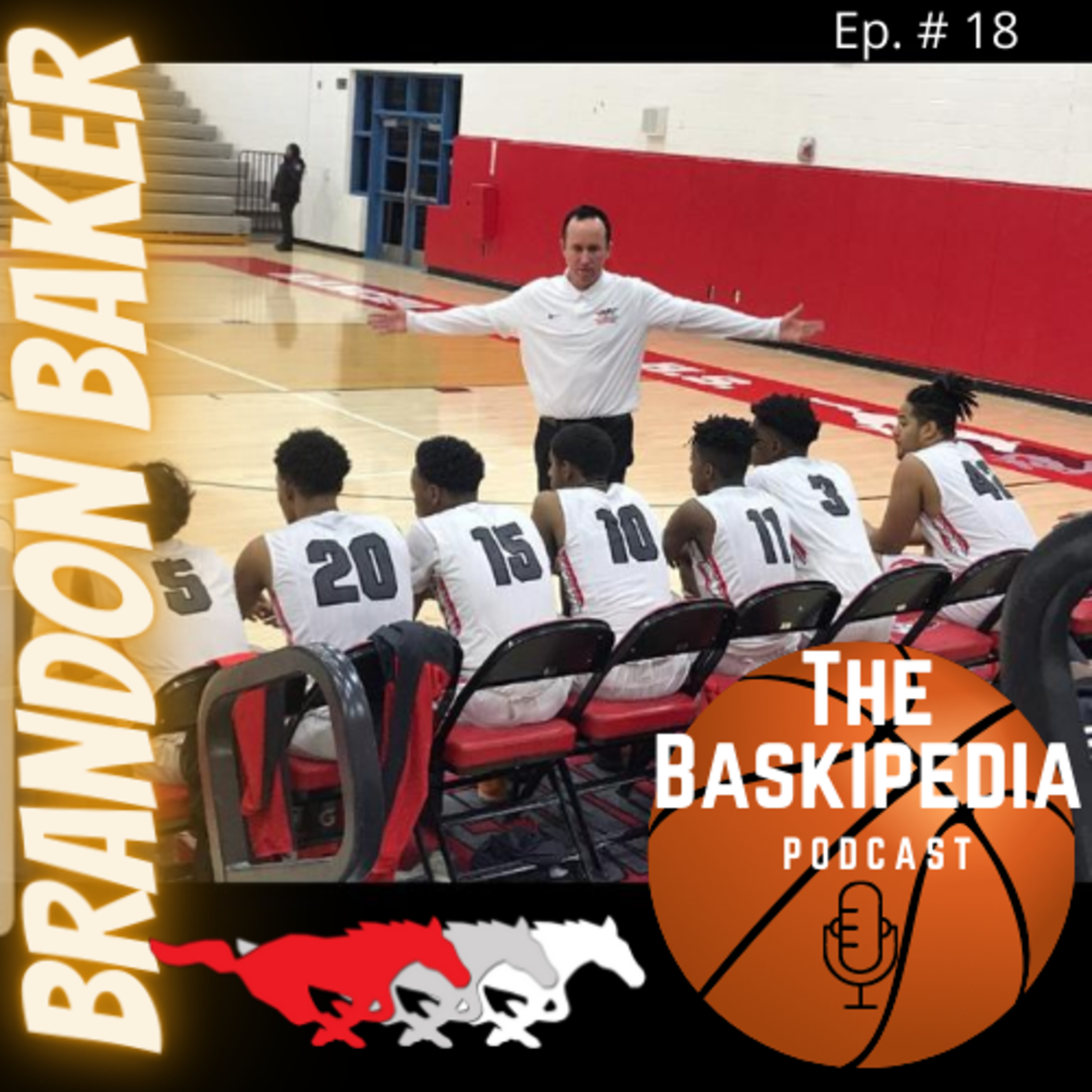 The Baskipedia Podcast