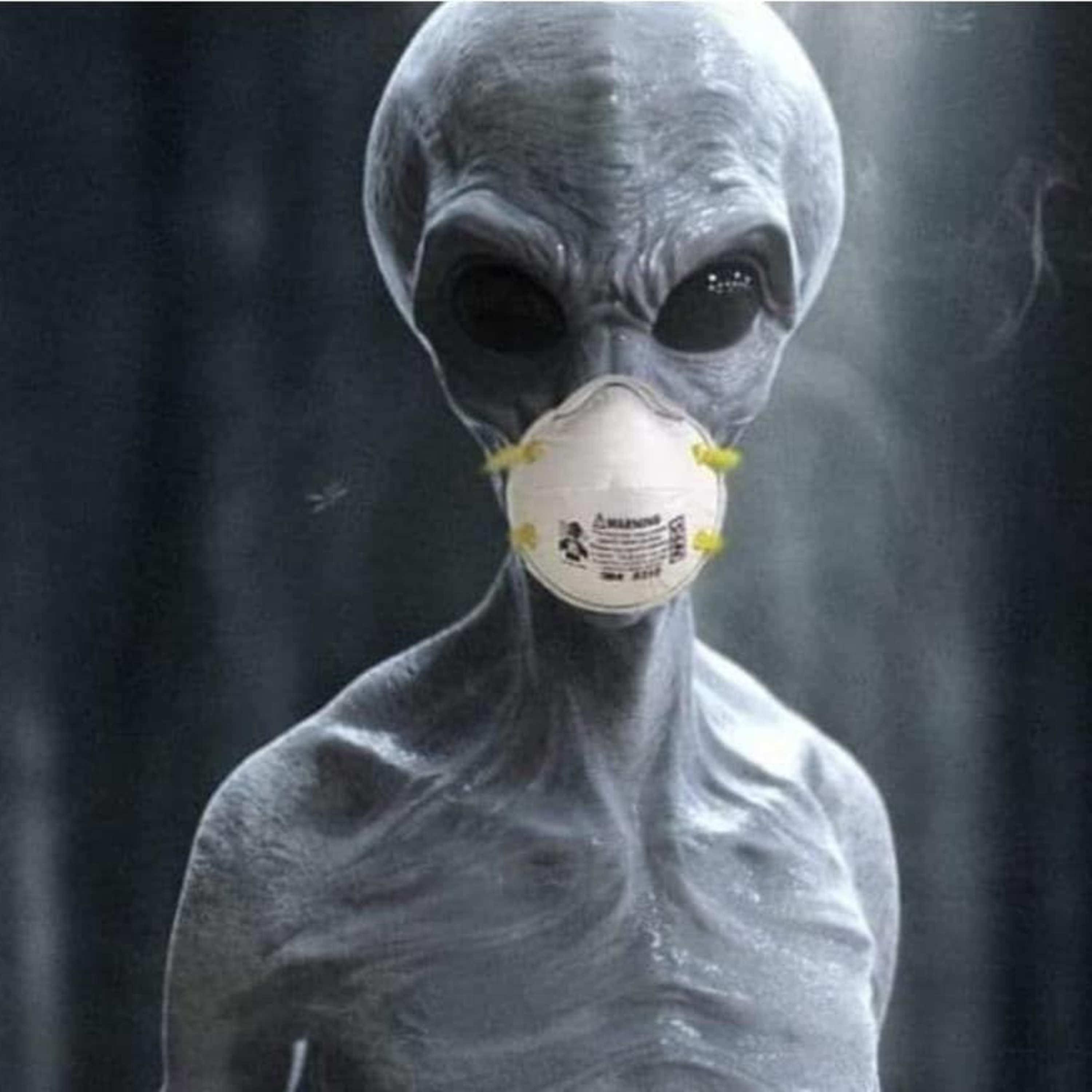 Planeta Intraterreno
