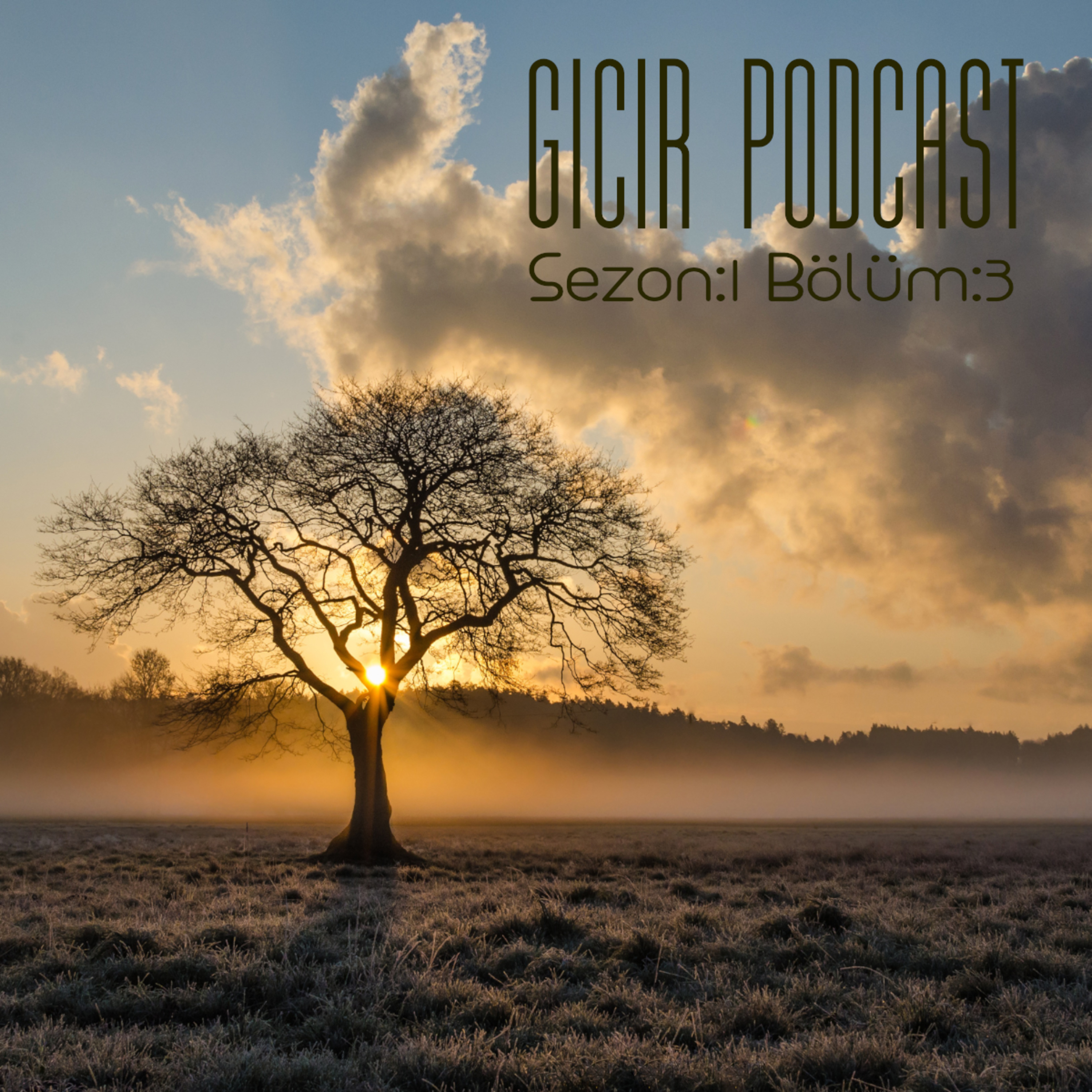 GICIR PODCAST