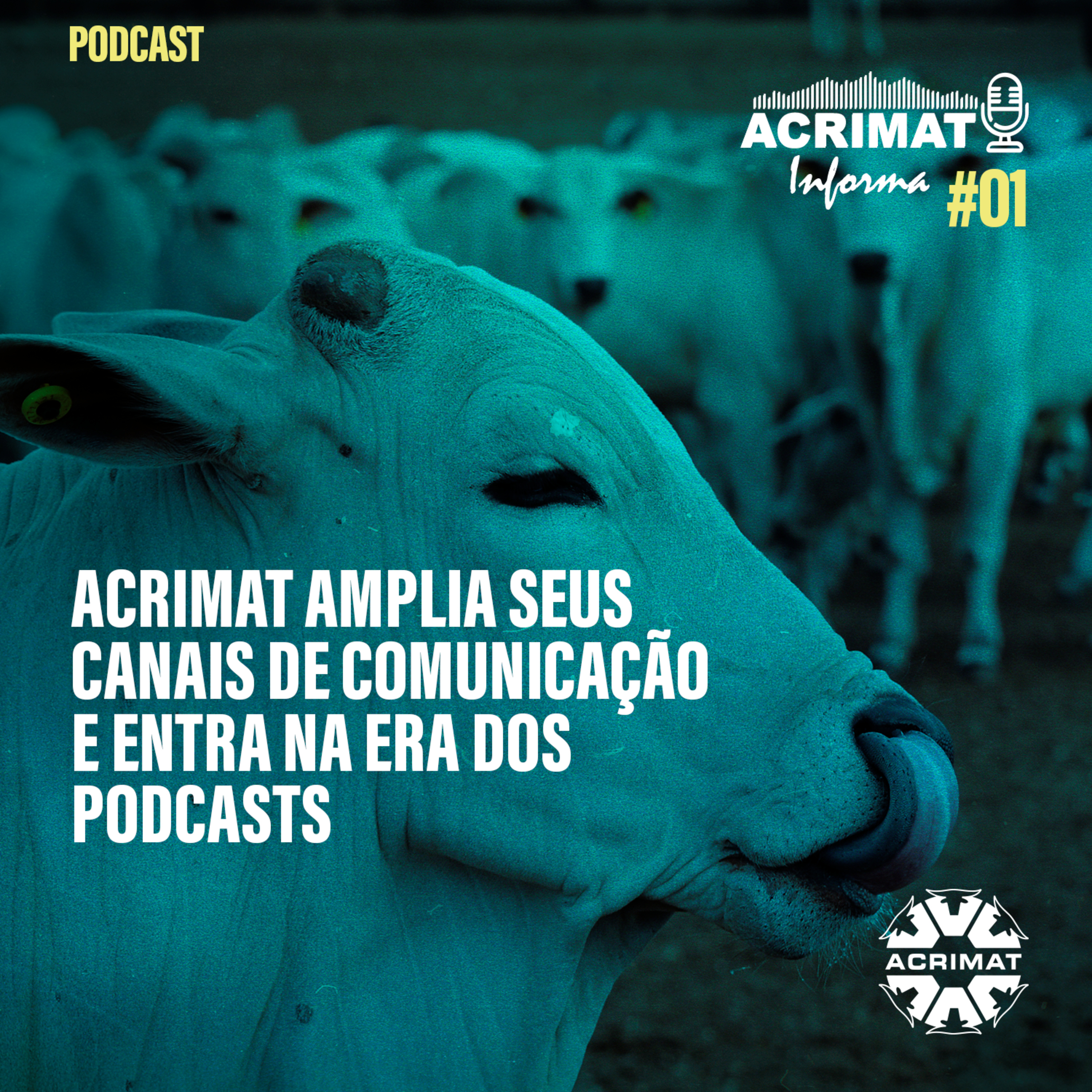 ACRIMAT INFORMA