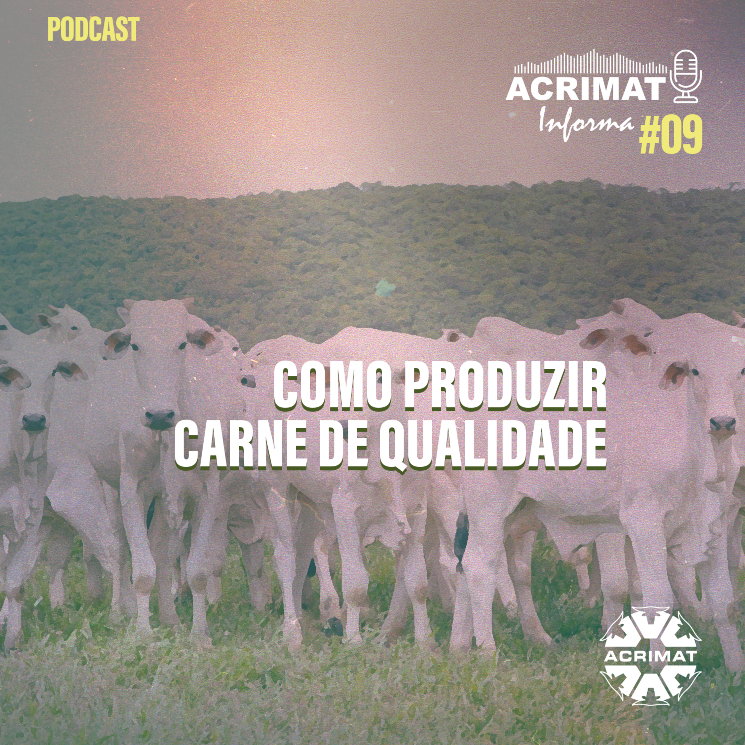 ACRIMAT INFORMA