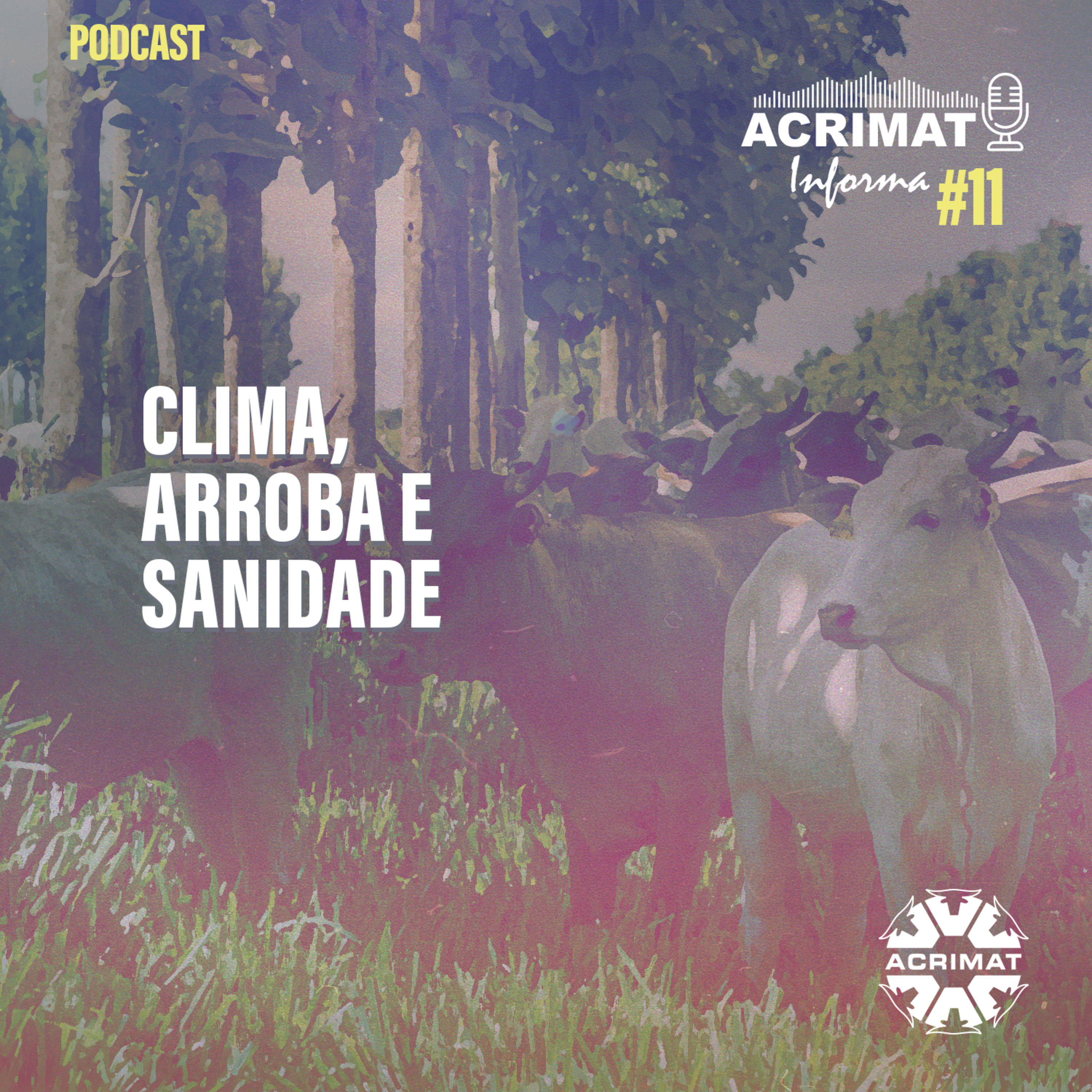 ACRIMAT INFORMA