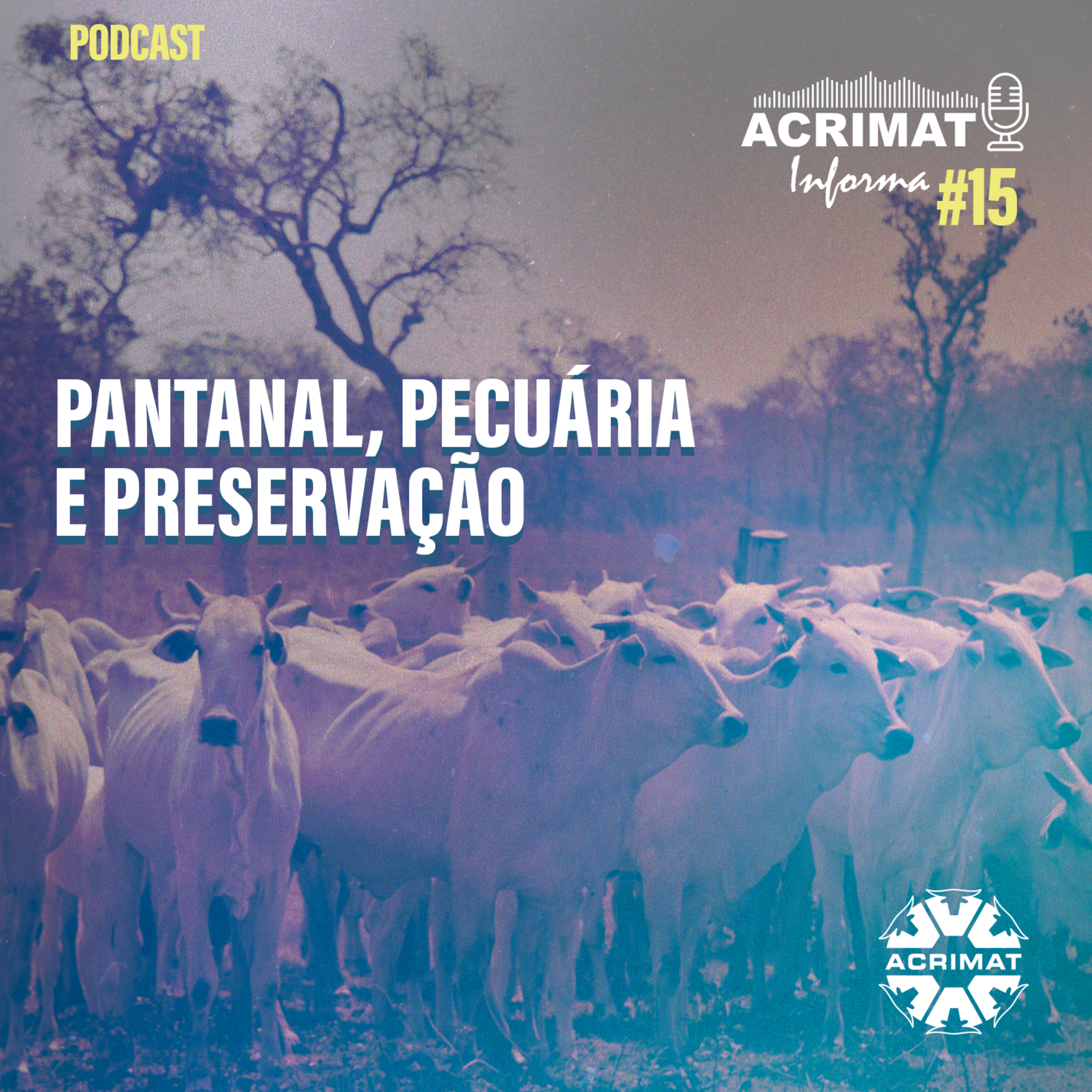 ACRIMAT INFORMA