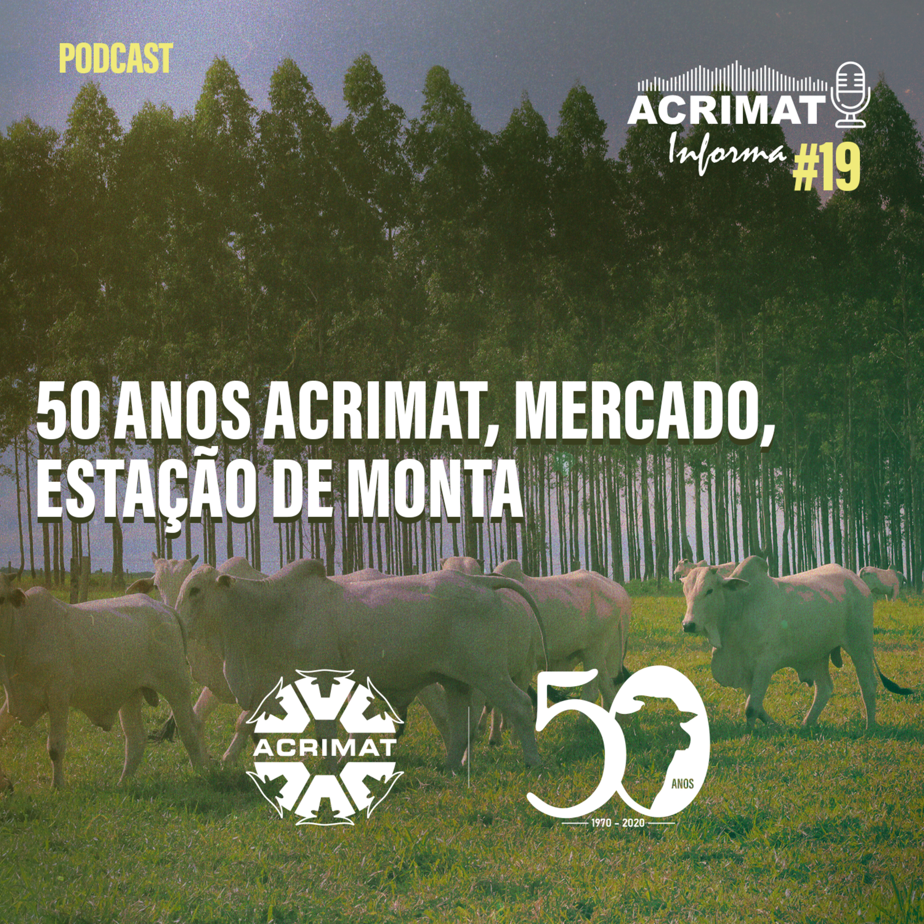 ACRIMAT INFORMA