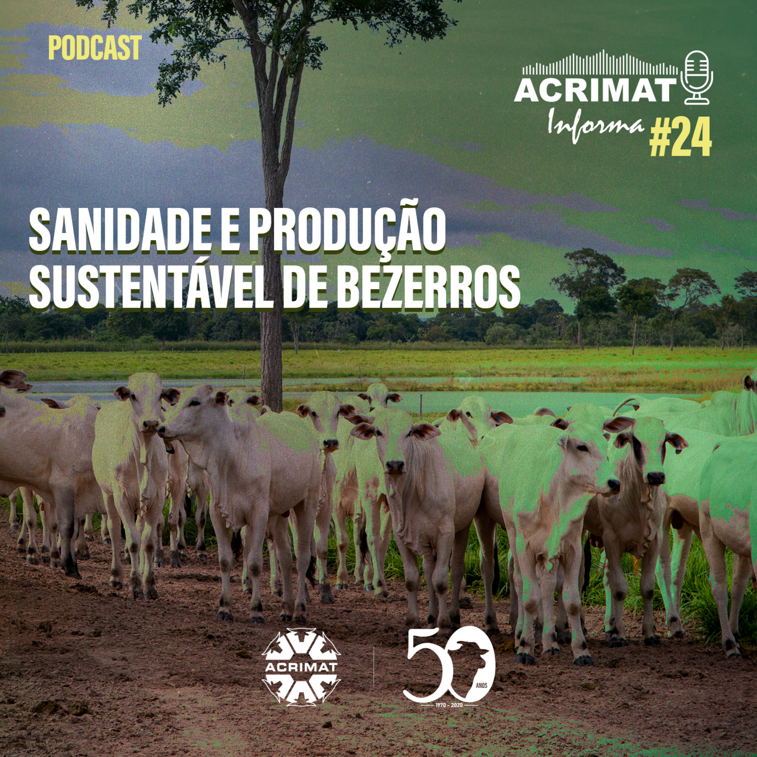 ACRIMAT INFORMA