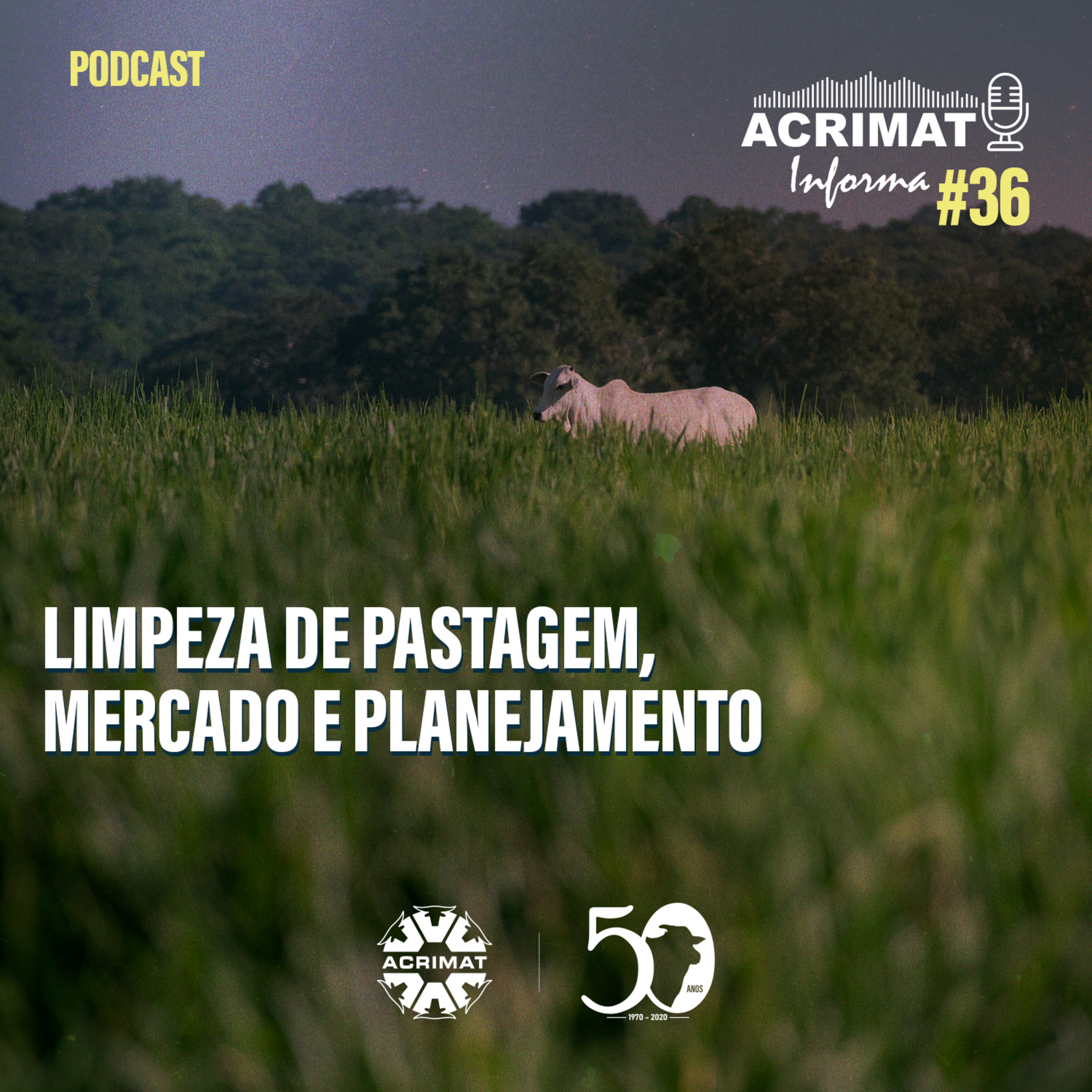 ACRIMAT INFORMA