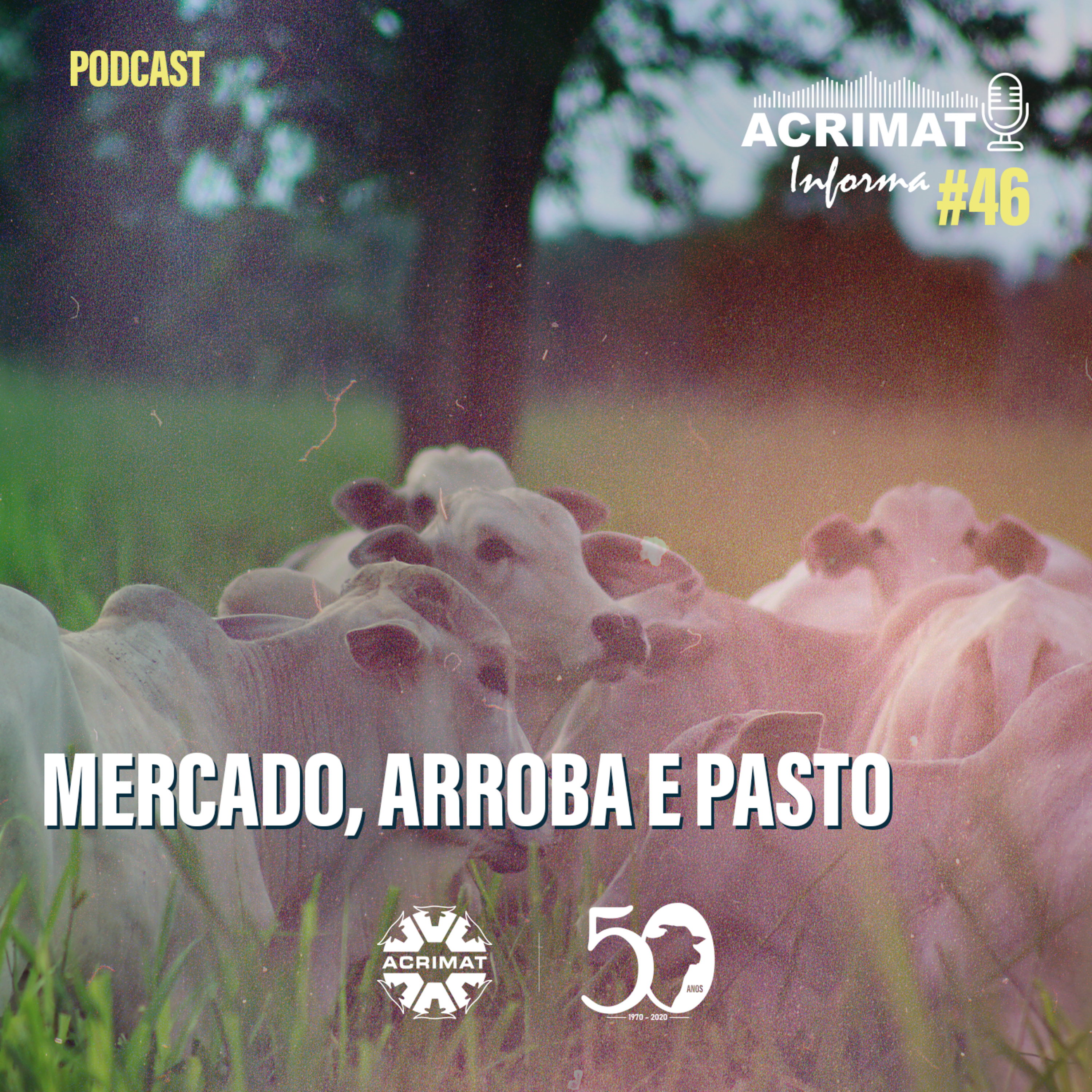 ACRIMAT INFORMA
