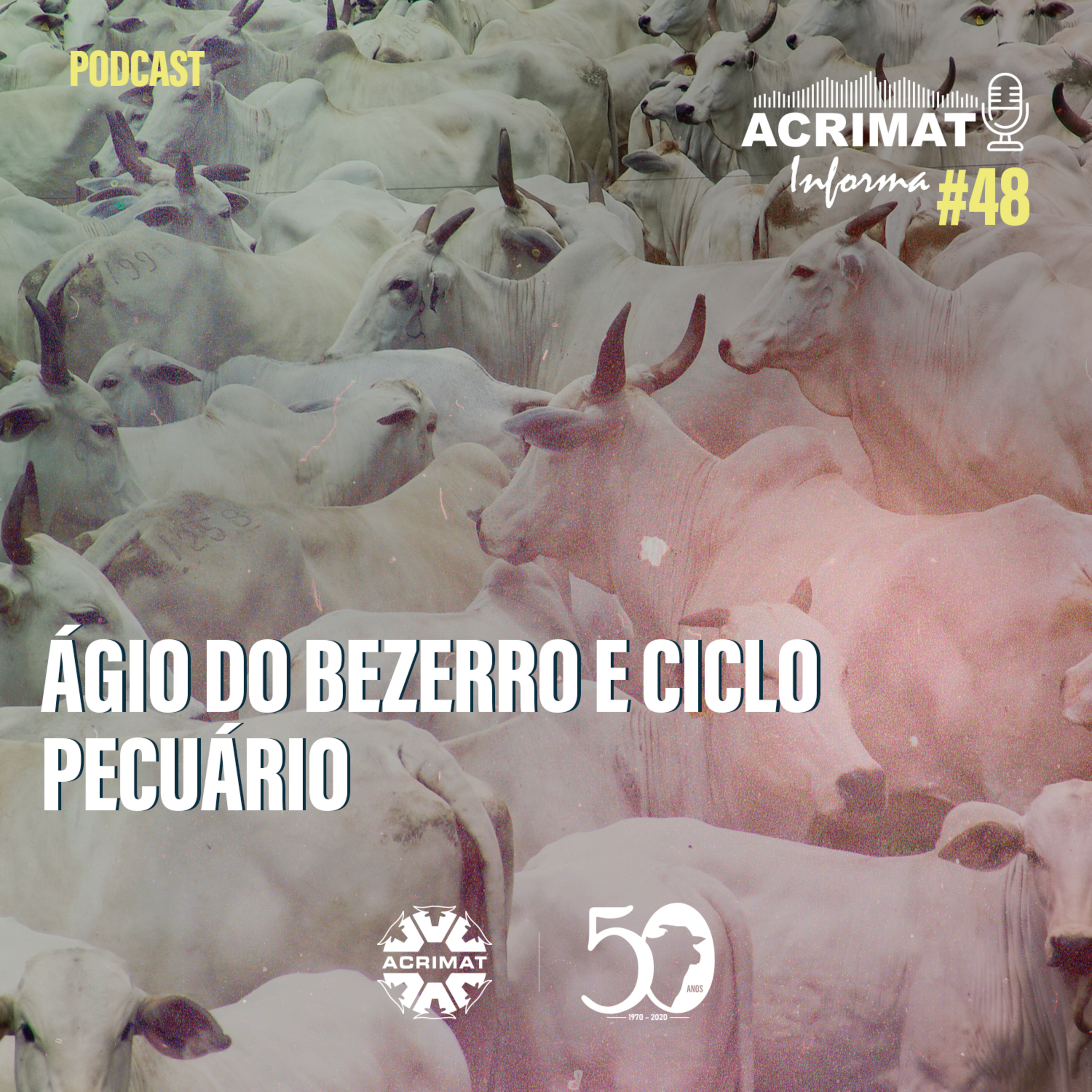 ACRIMAT INFORMA