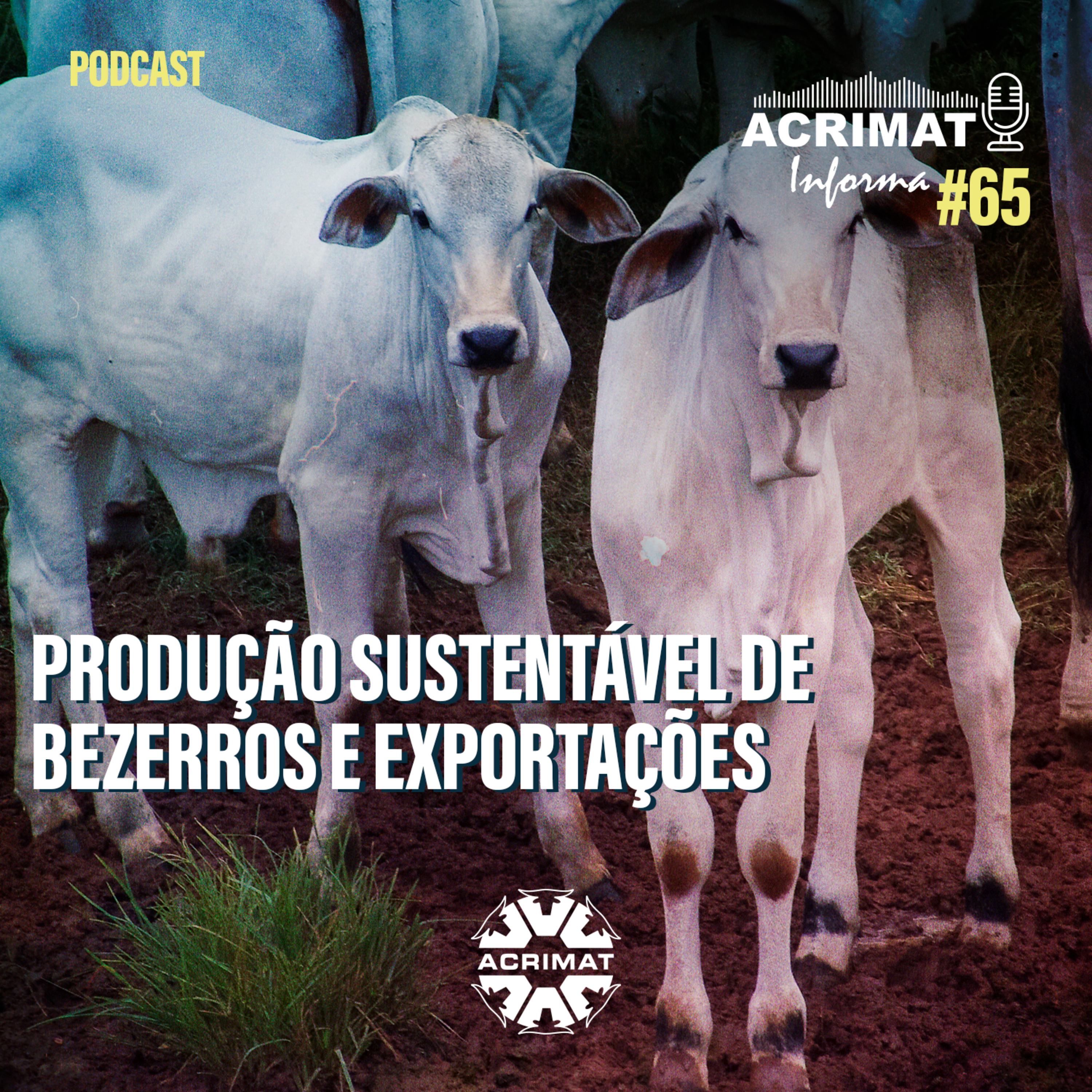 ACRIMAT INFORMA