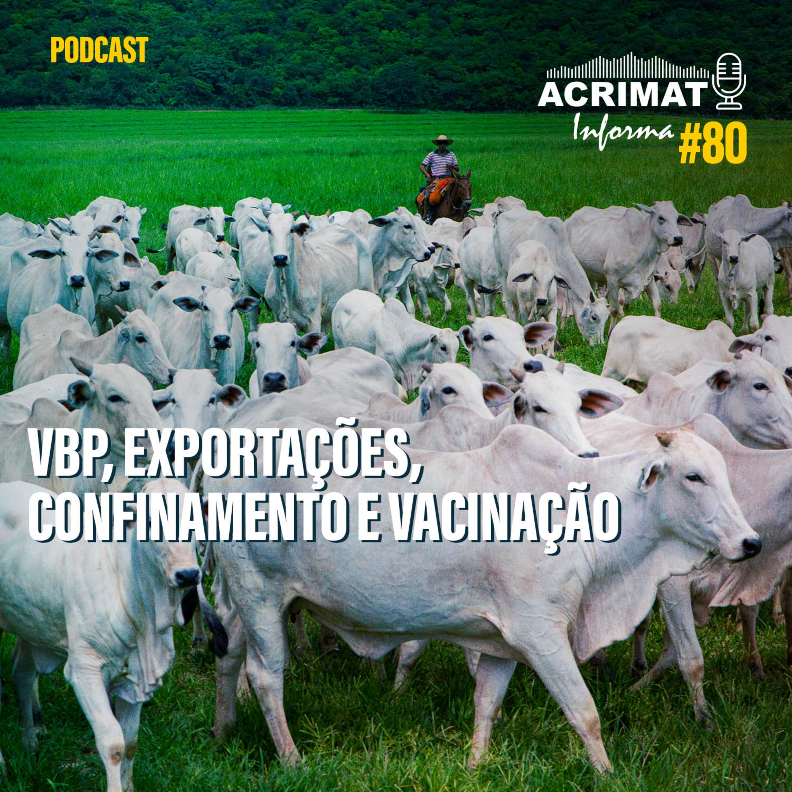 ACRIMAT INFORMA
