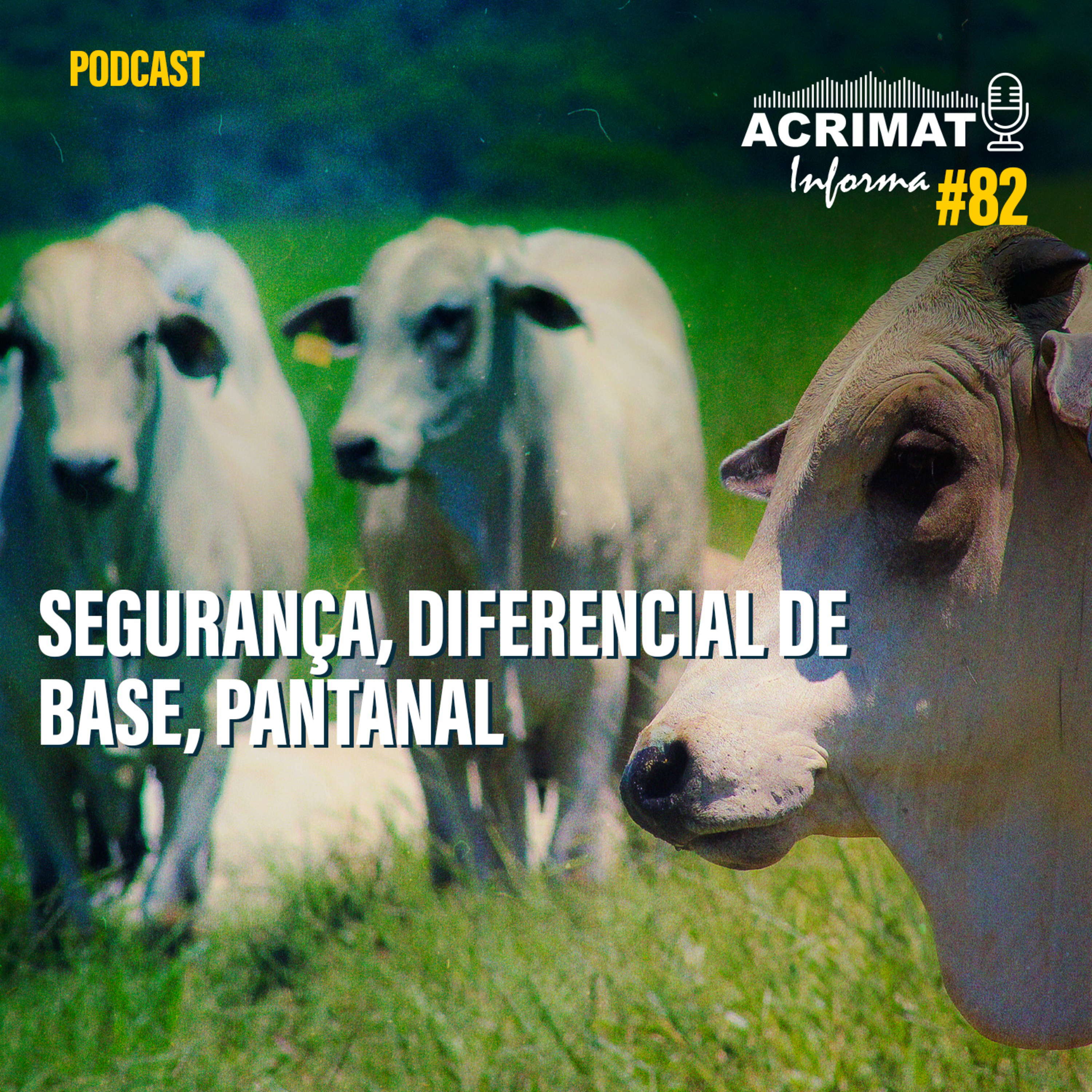 ACRIMAT INFORMA