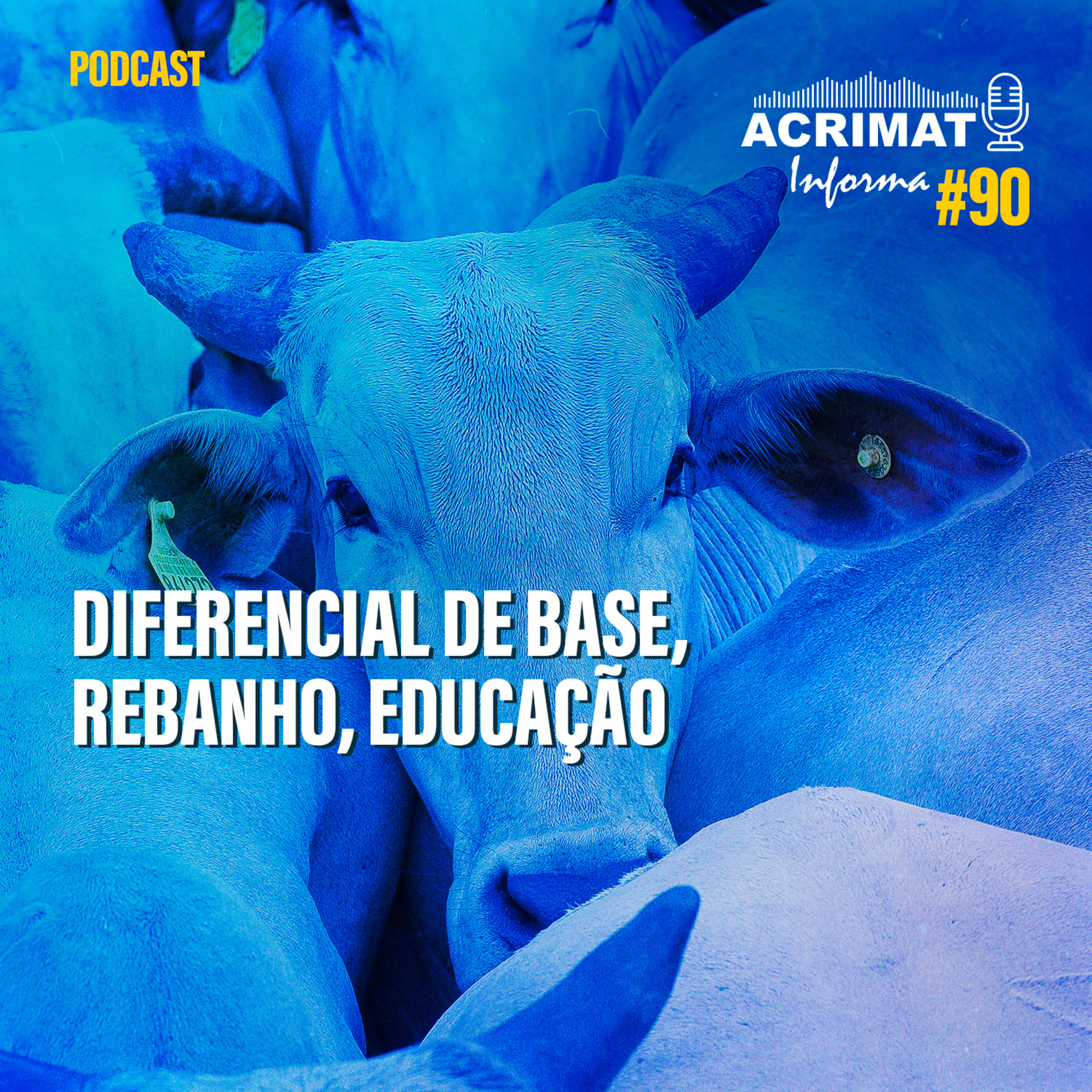 ACRIMAT INFORMA