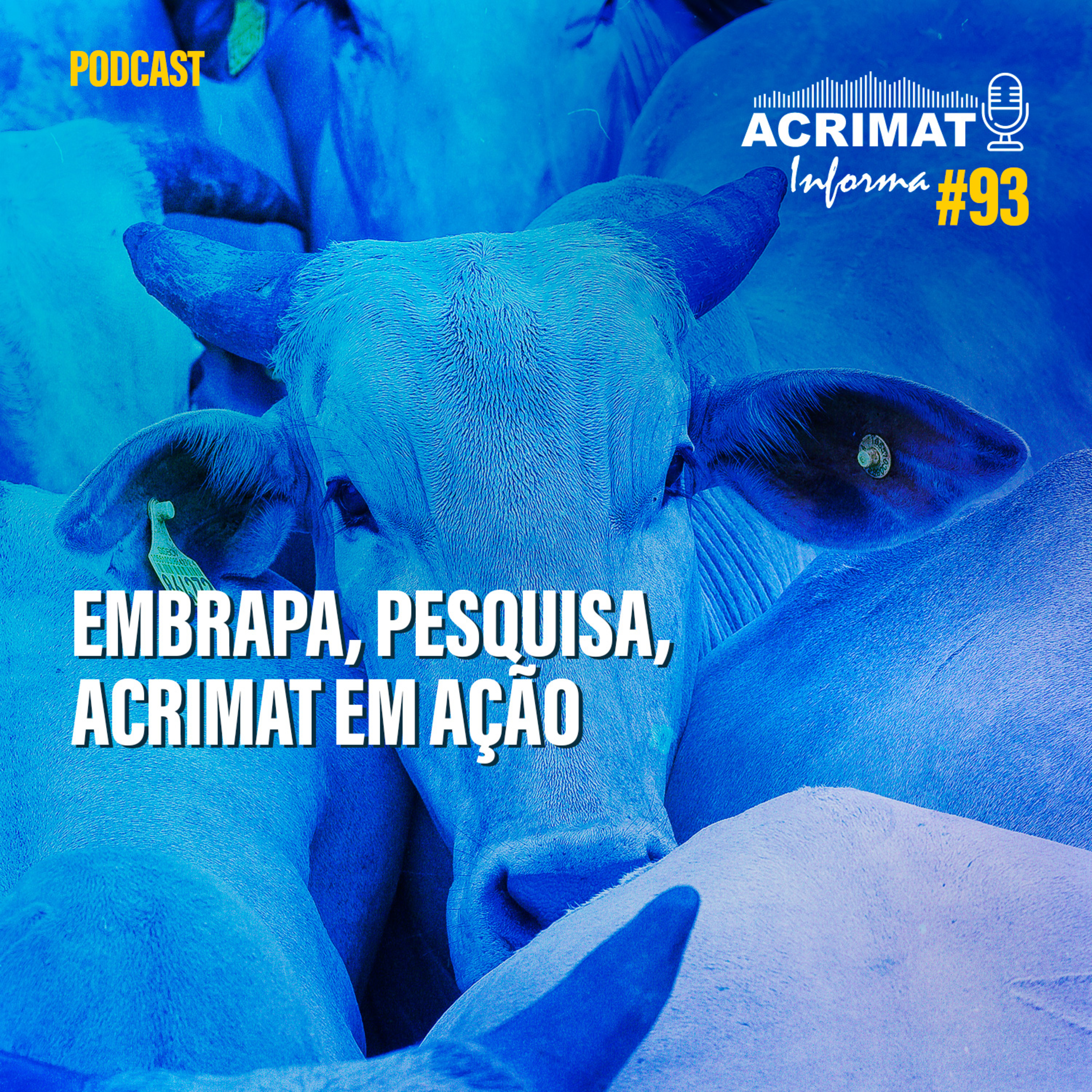 ACRIMAT INFORMA