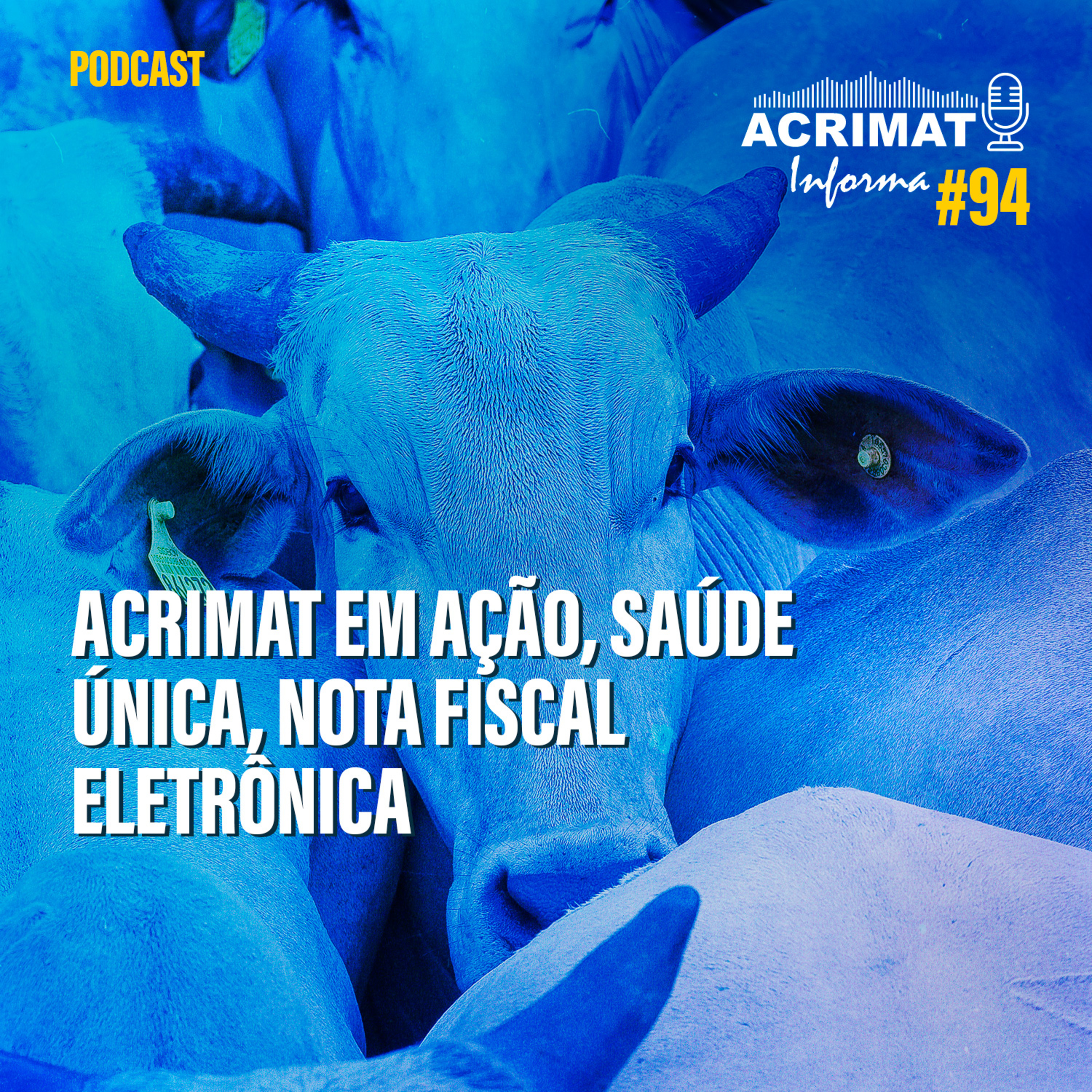 ACRIMAT INFORMA
