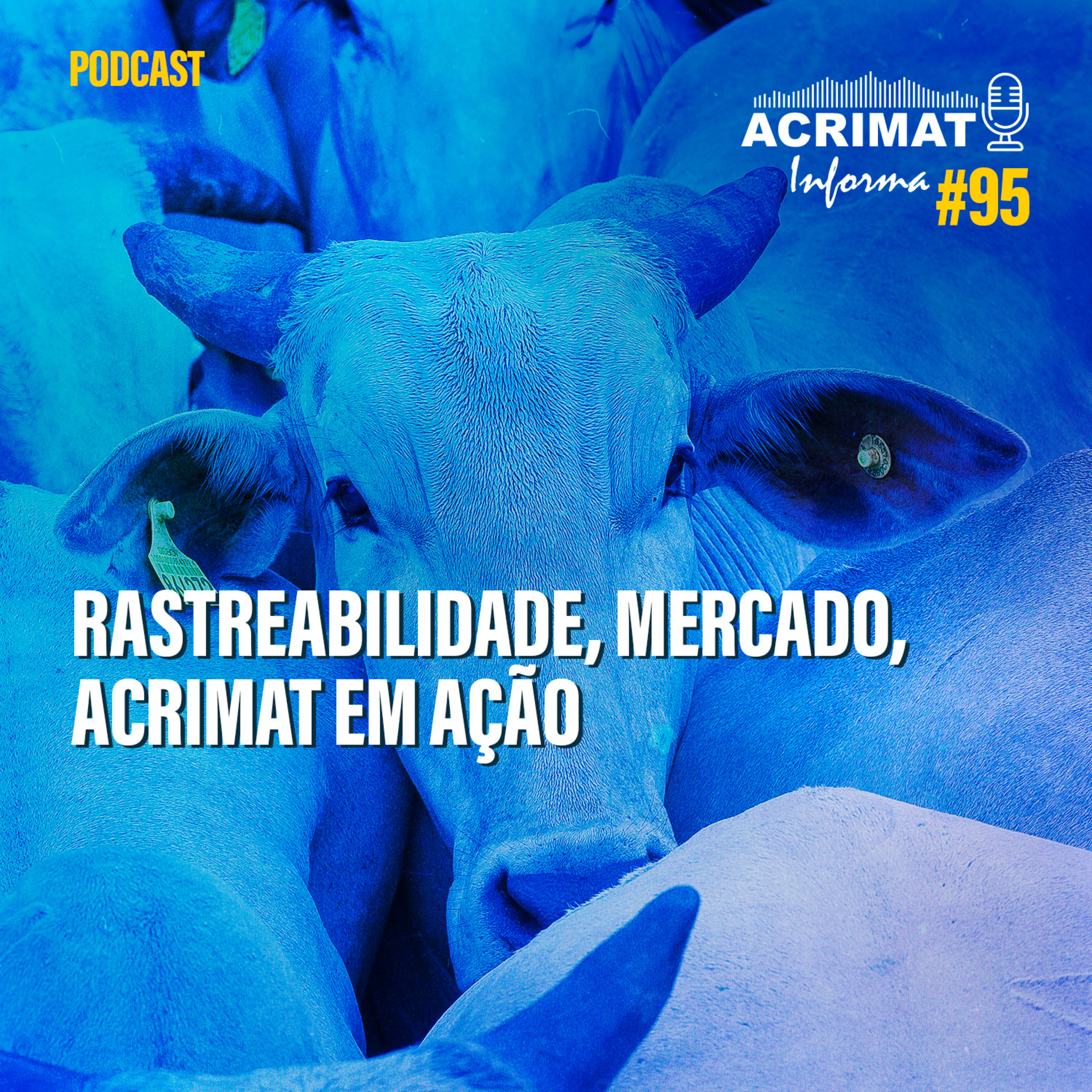 ACRIMAT INFORMA