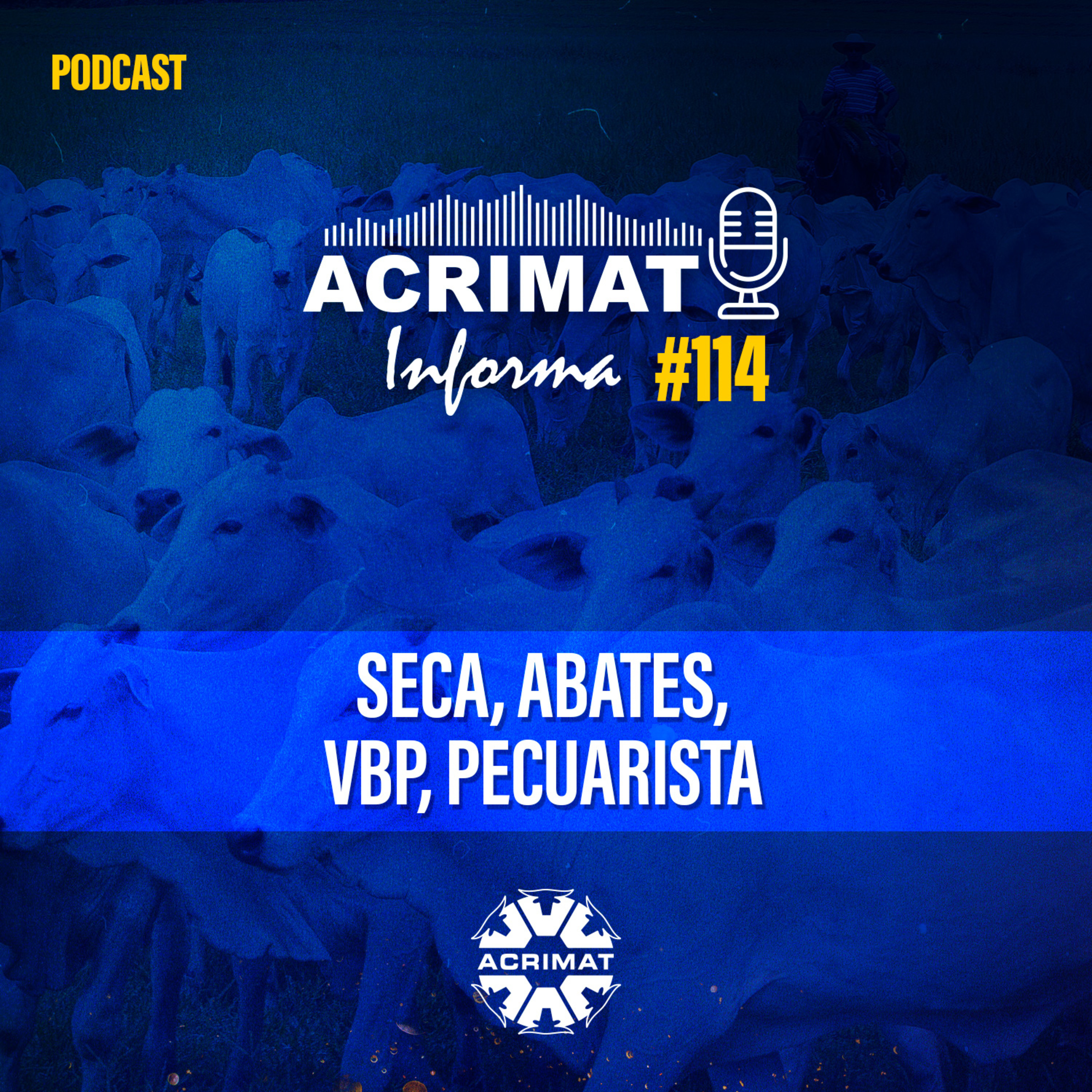 ACRIMAT INFORMA
