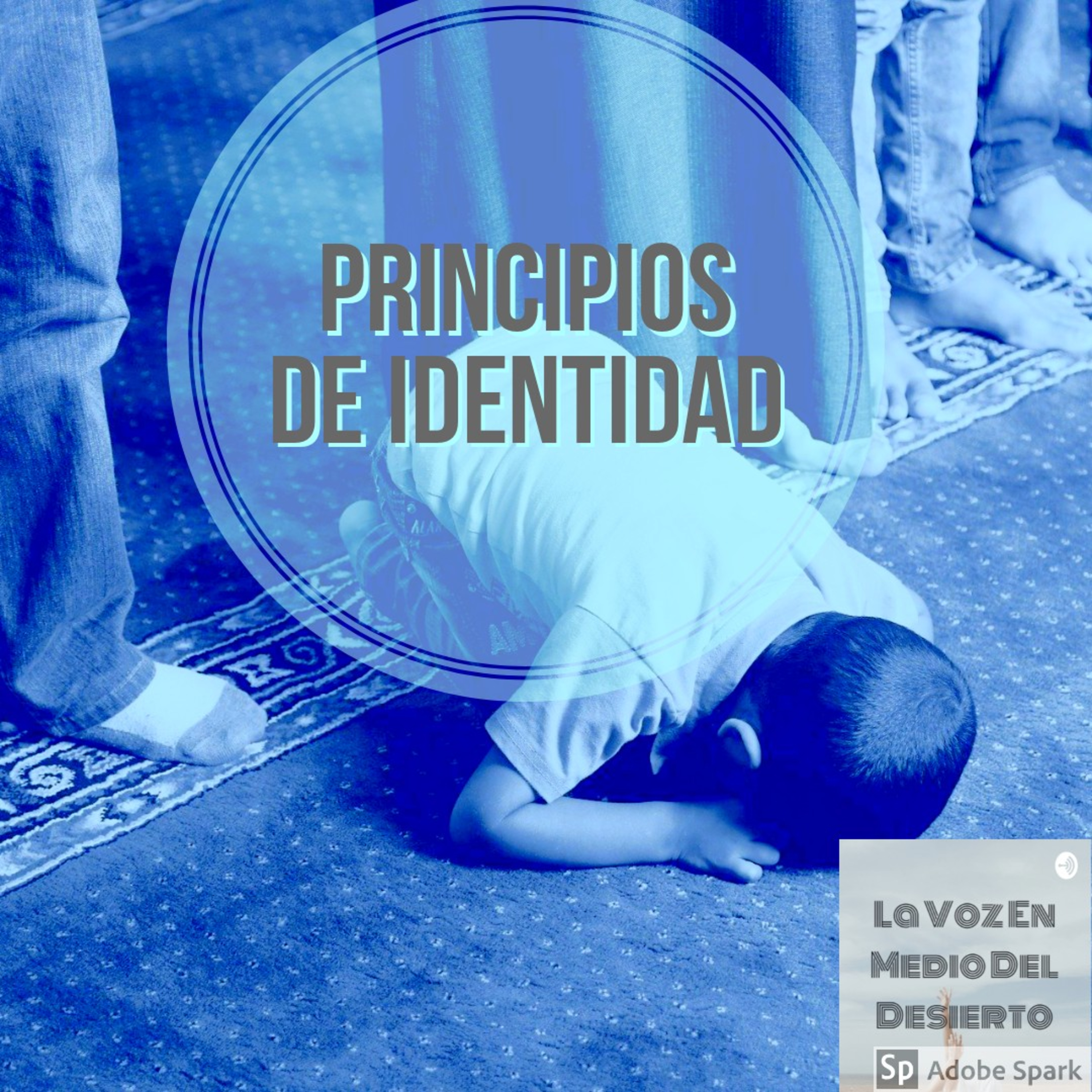 La Voz En Medio Del Desierto