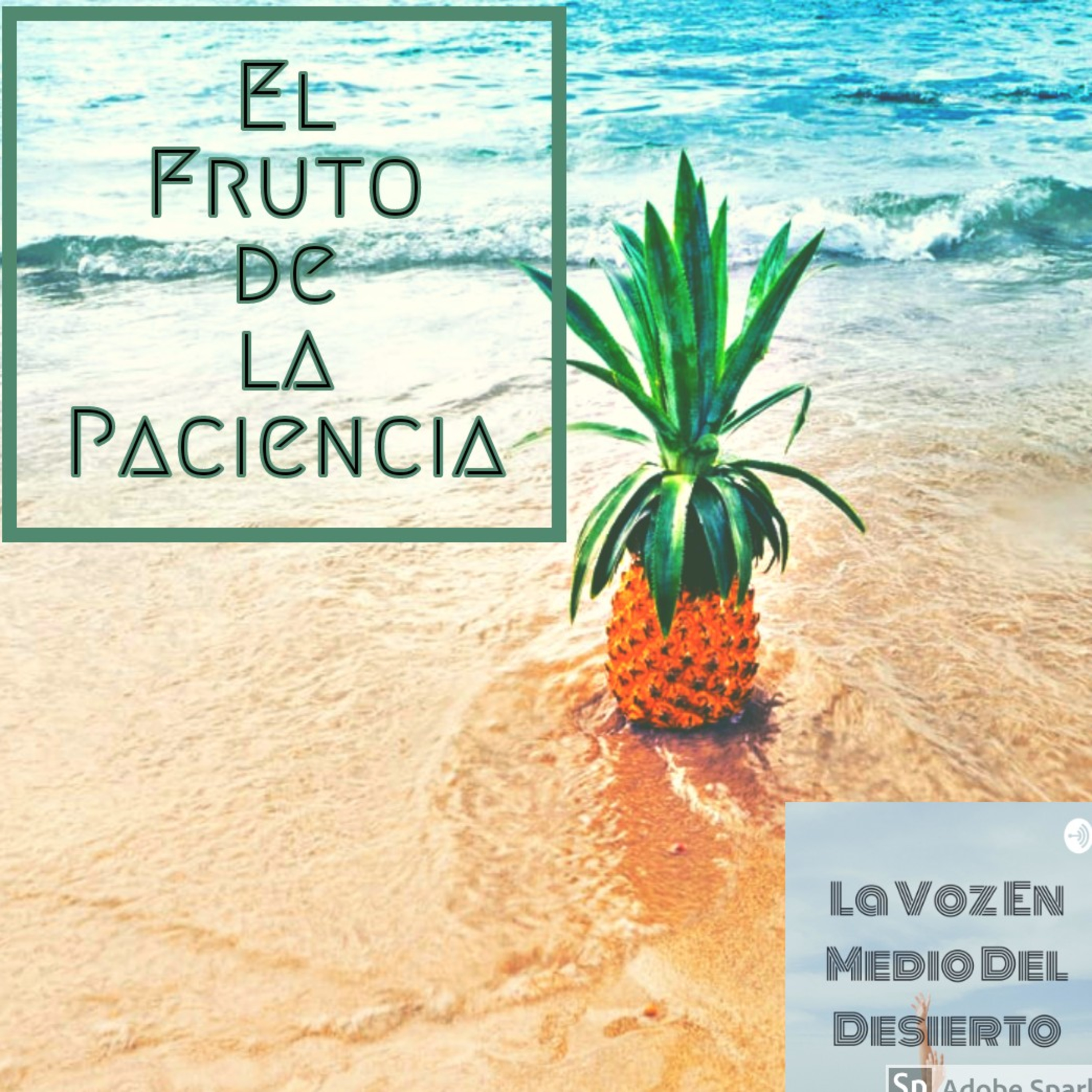 La Voz En Medio Del Desierto