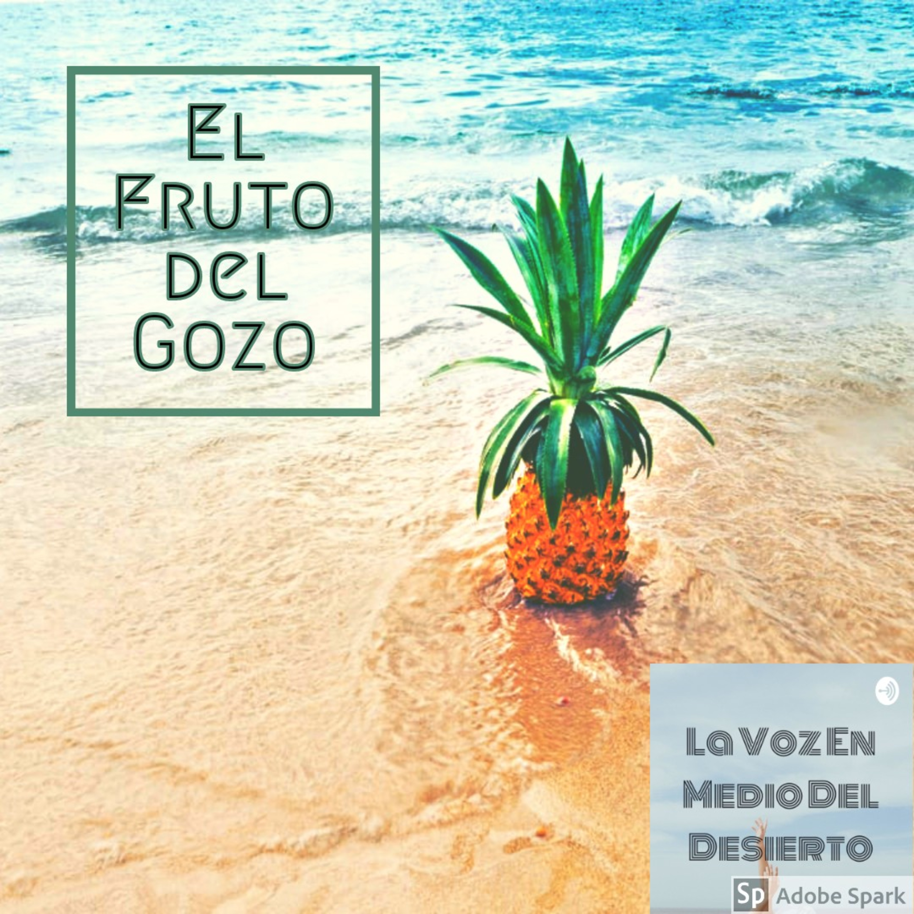 La Voz En Medio Del Desierto
