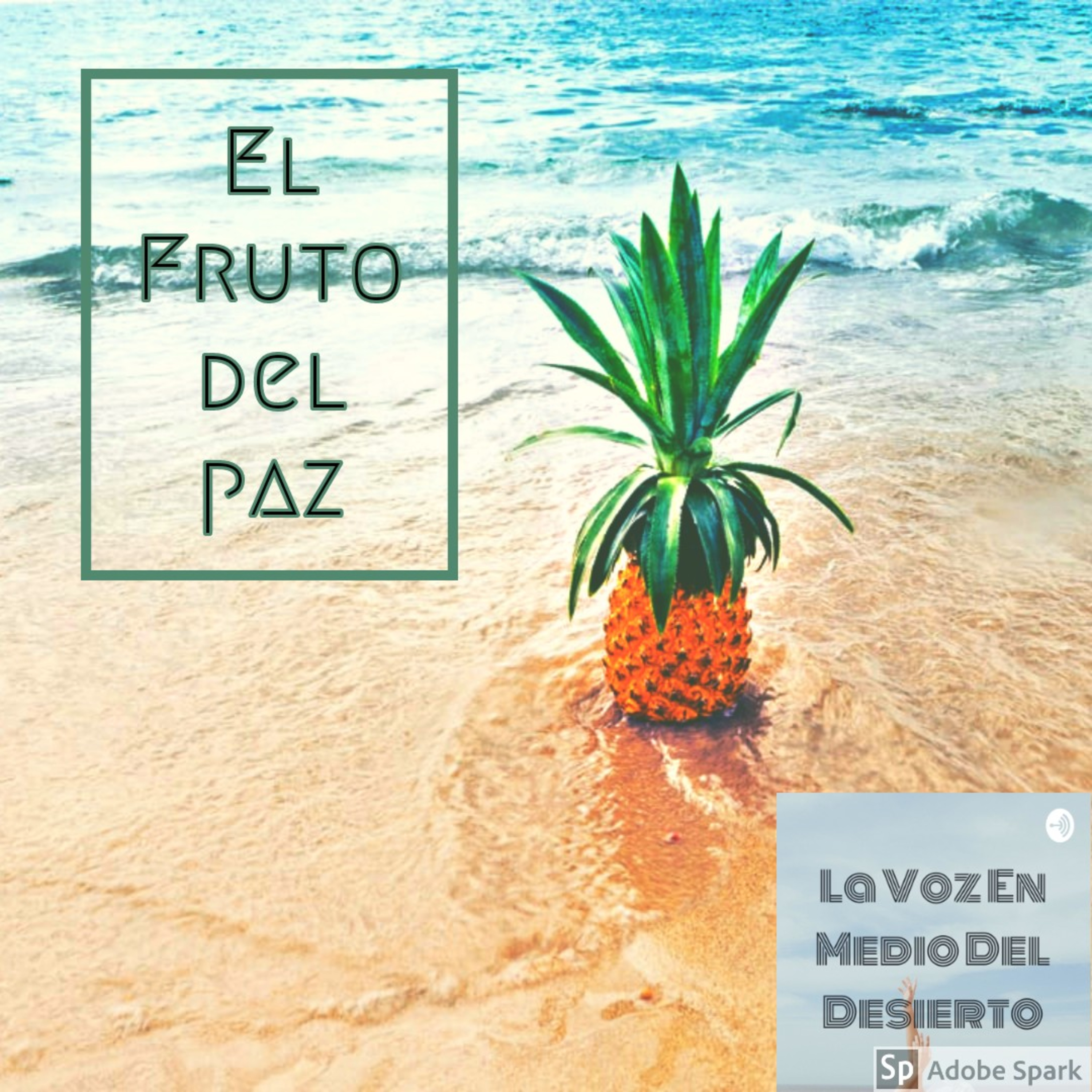 La Voz En Medio Del Desierto