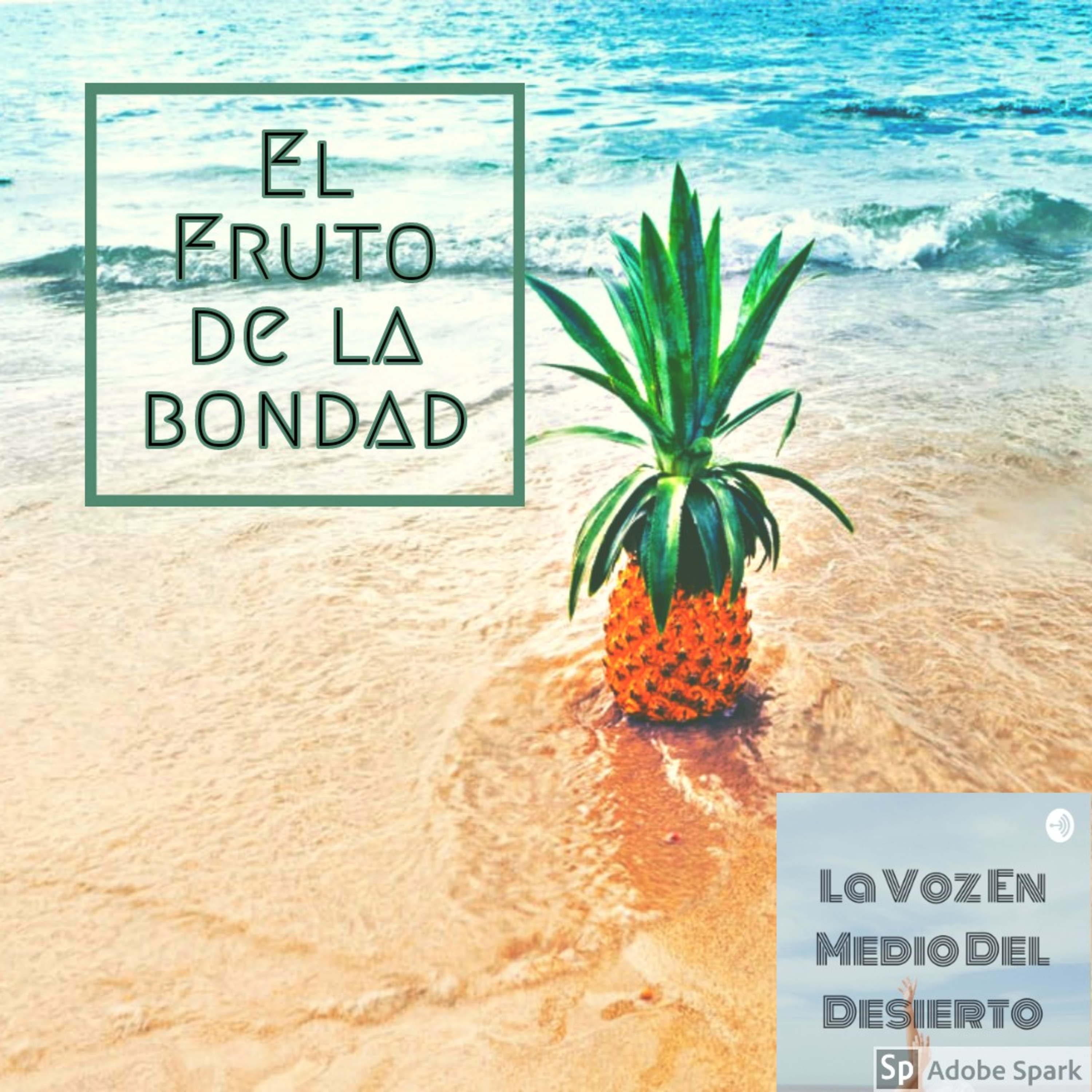 La Voz En Medio Del Desierto