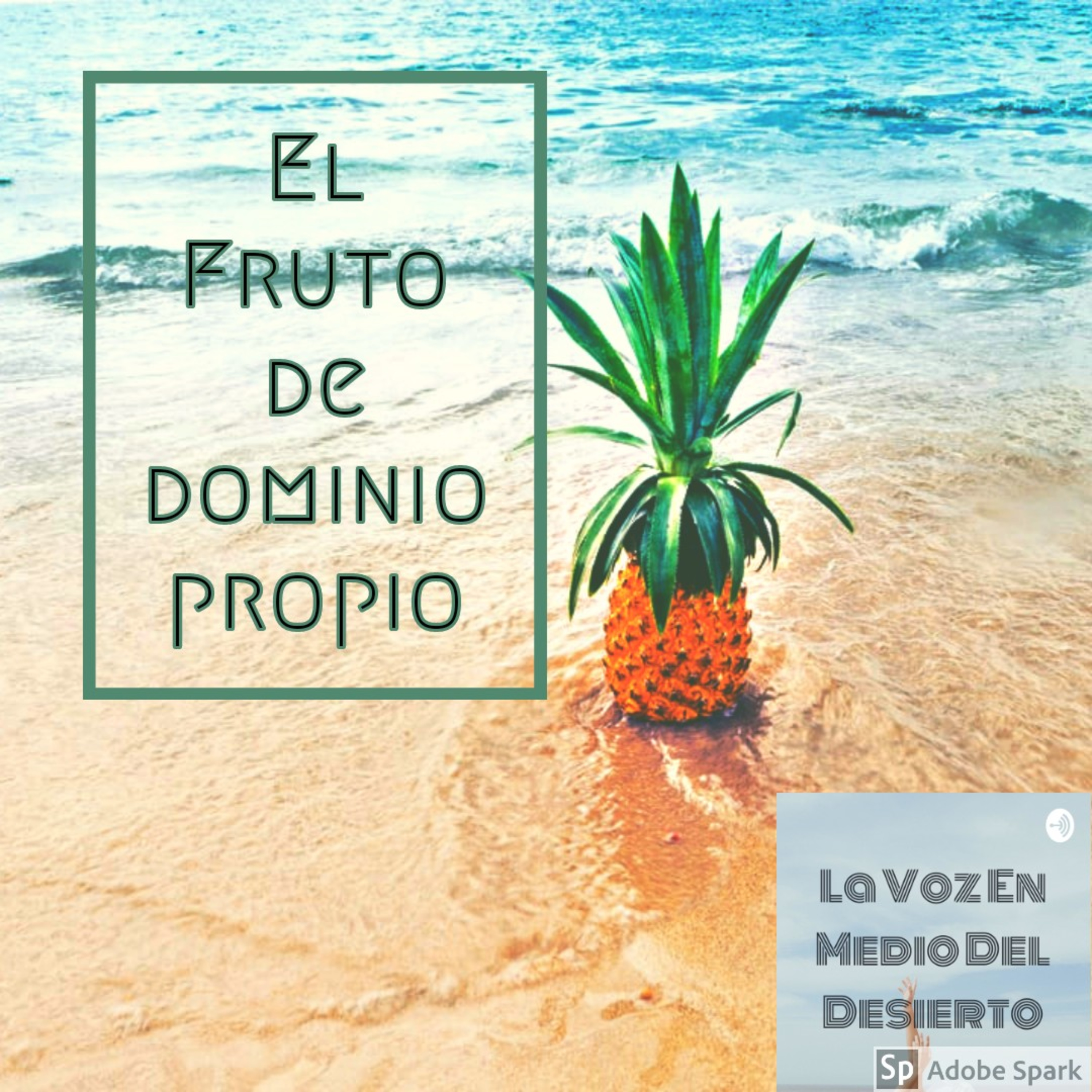 La Voz En Medio Del Desierto