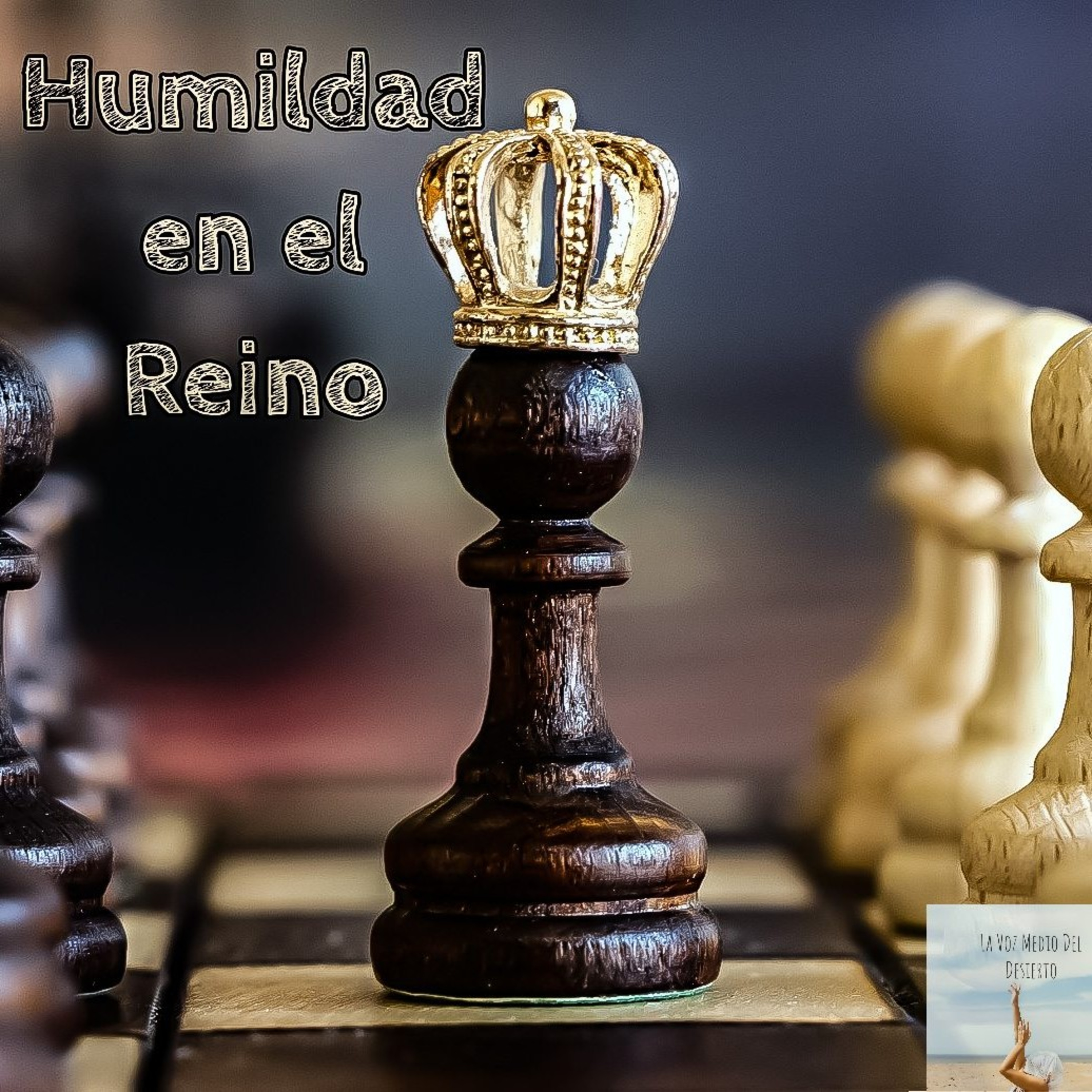 La Voz En Medio Del Desierto