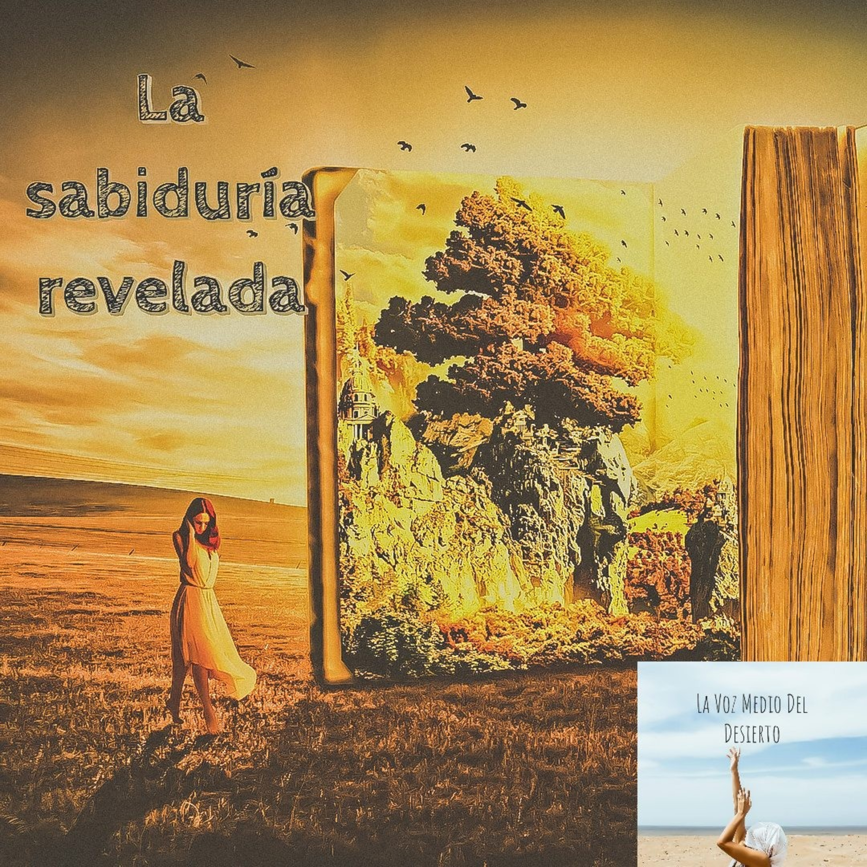La Voz En Medio Del Desierto