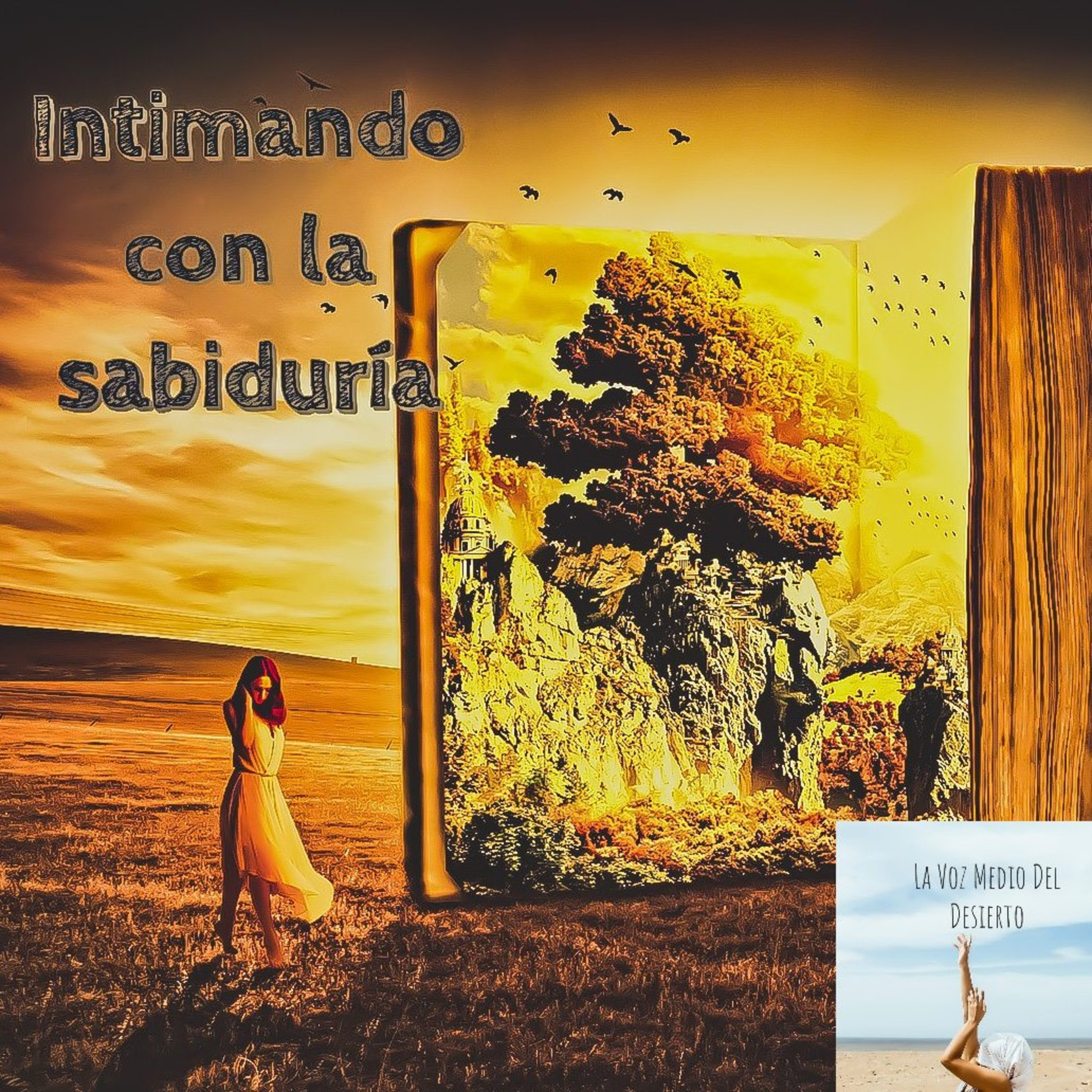La Voz En Medio Del Desierto
