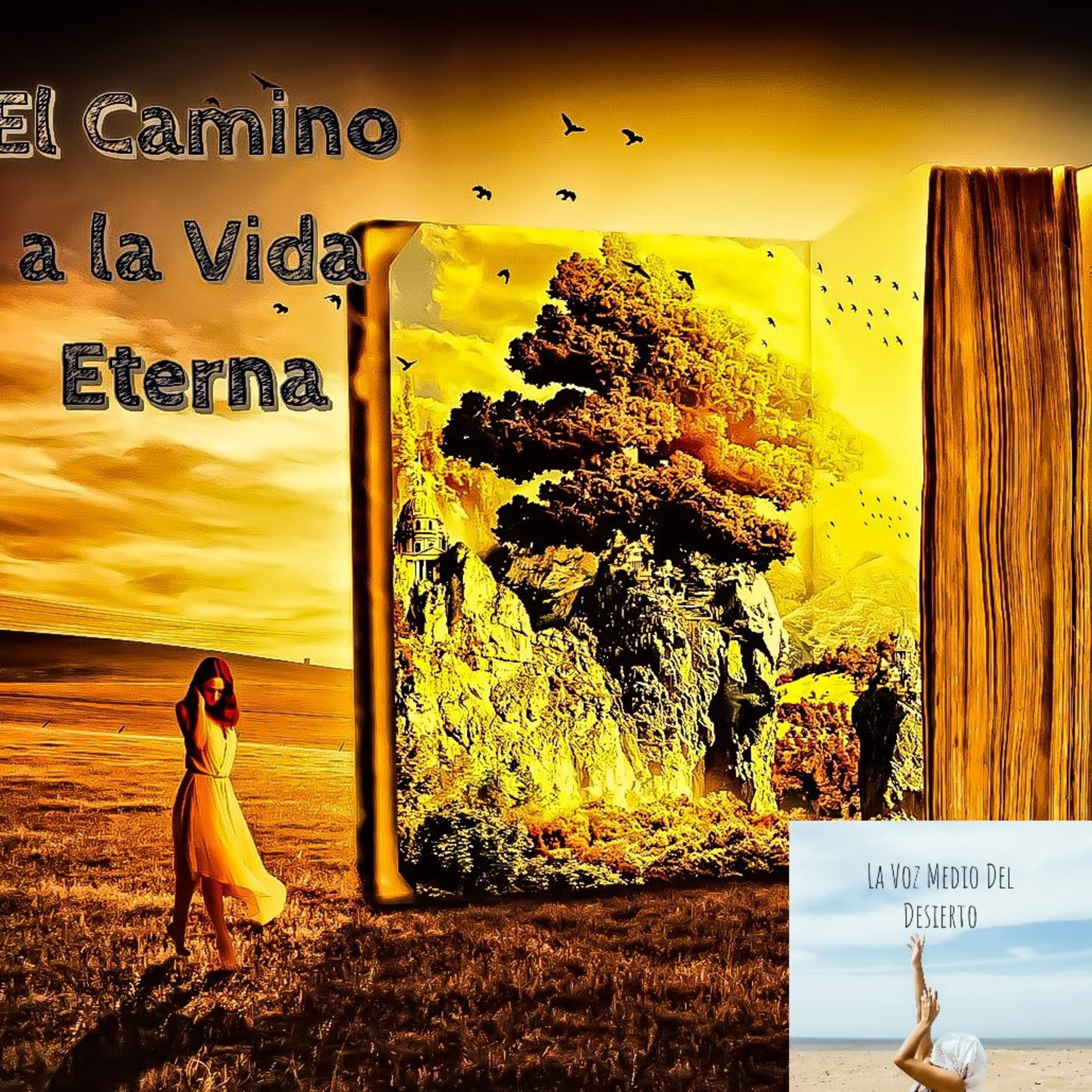 La Voz En Medio Del Desierto