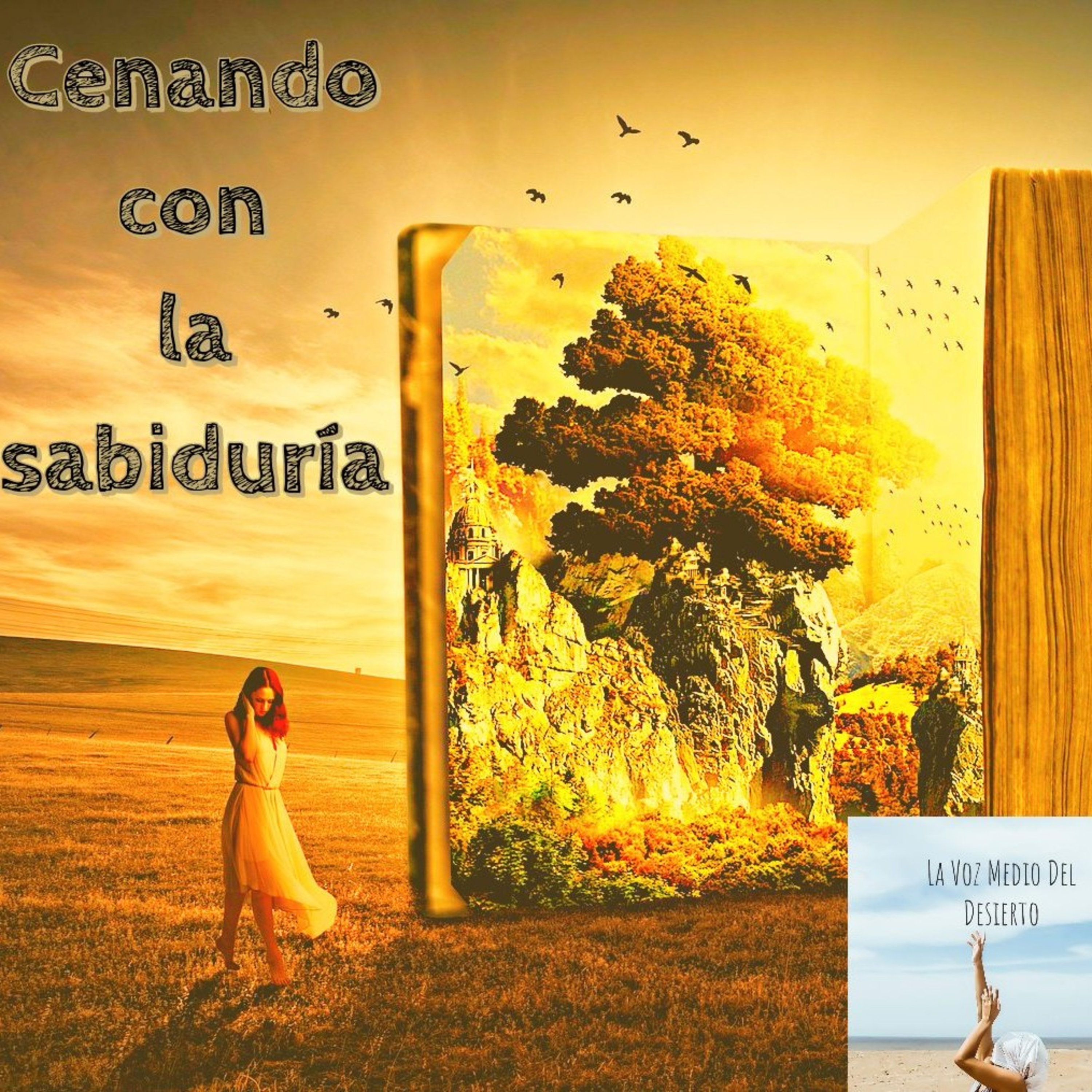 La Voz En Medio Del Desierto