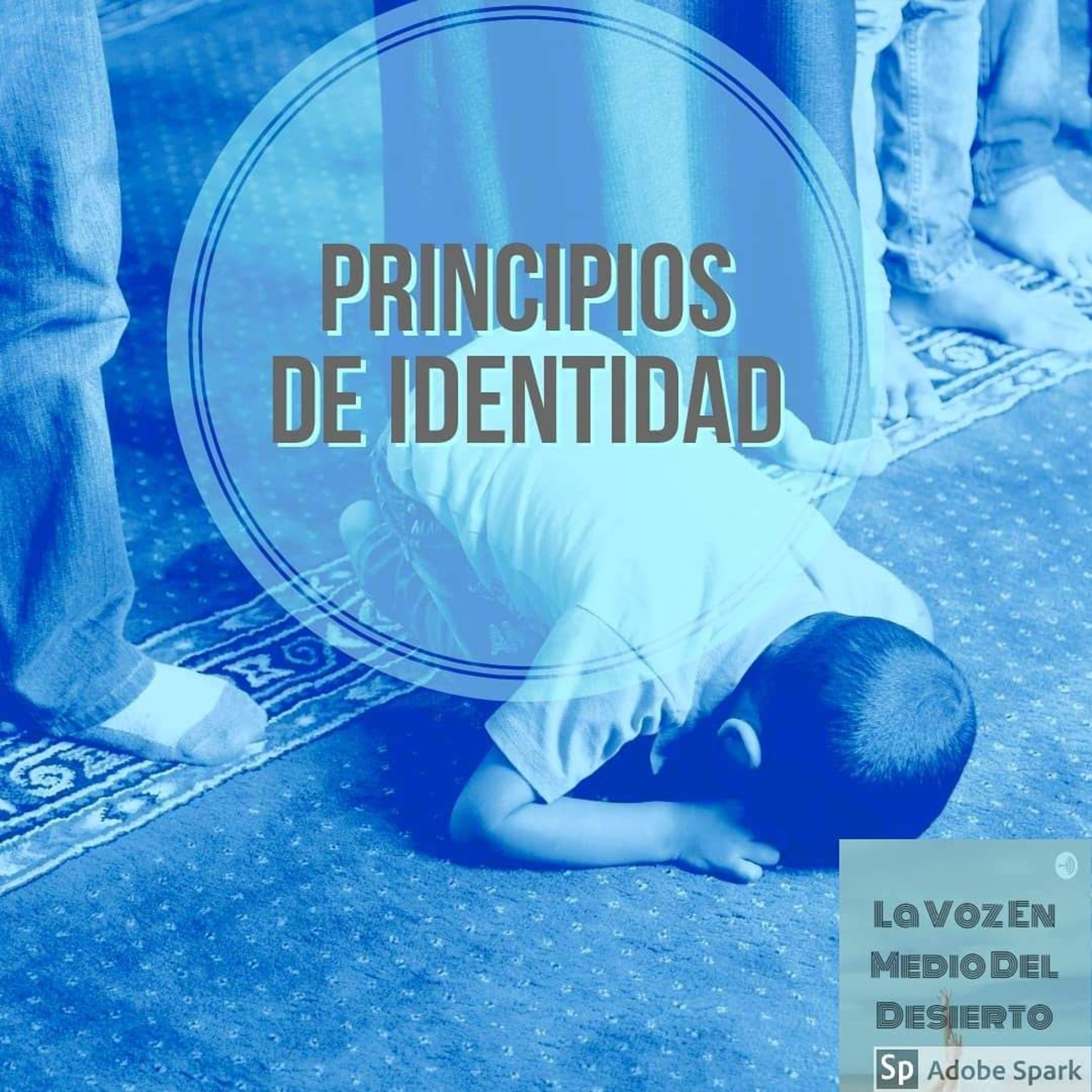 La Voz En Medio Del Desierto