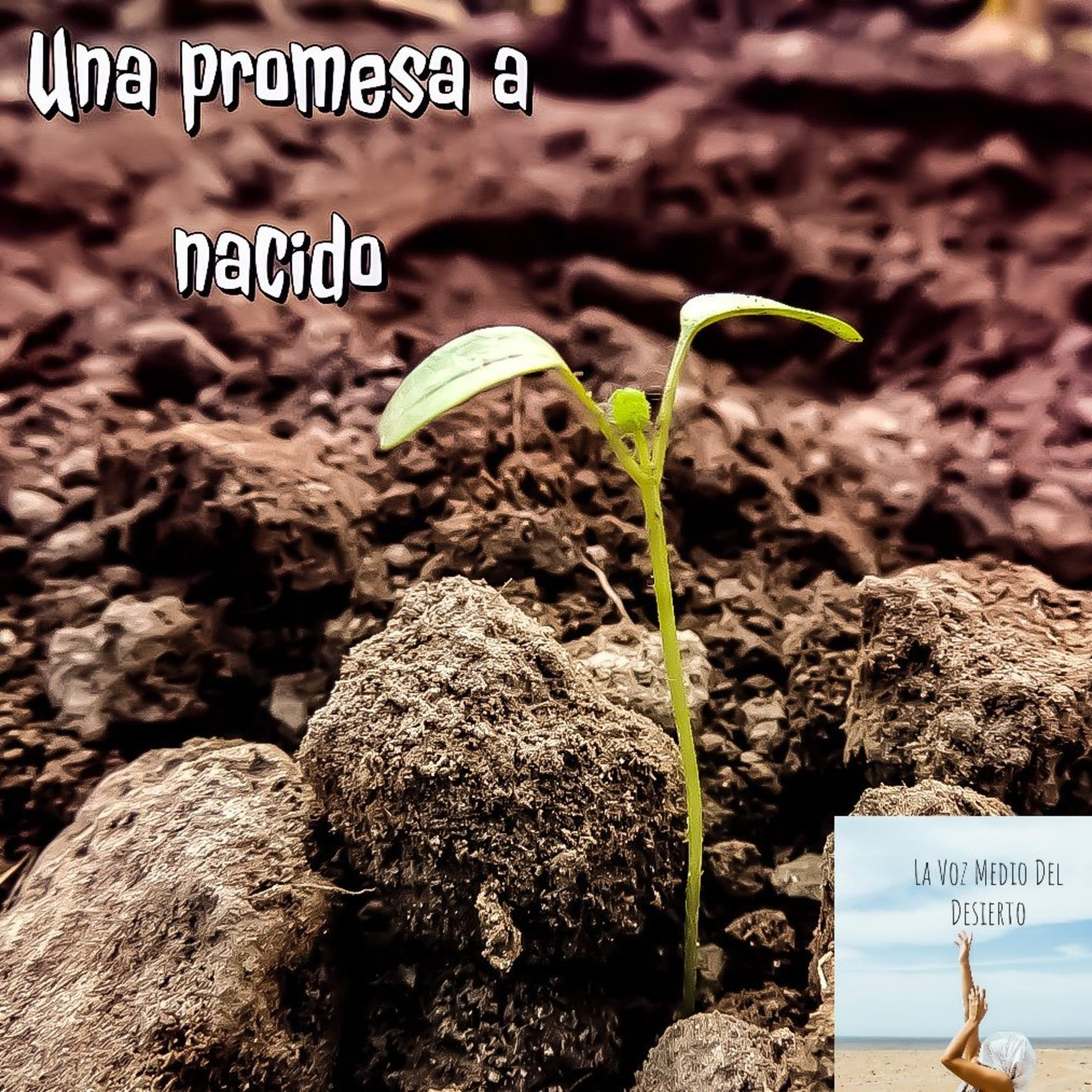 La Voz En Medio Del Desierto