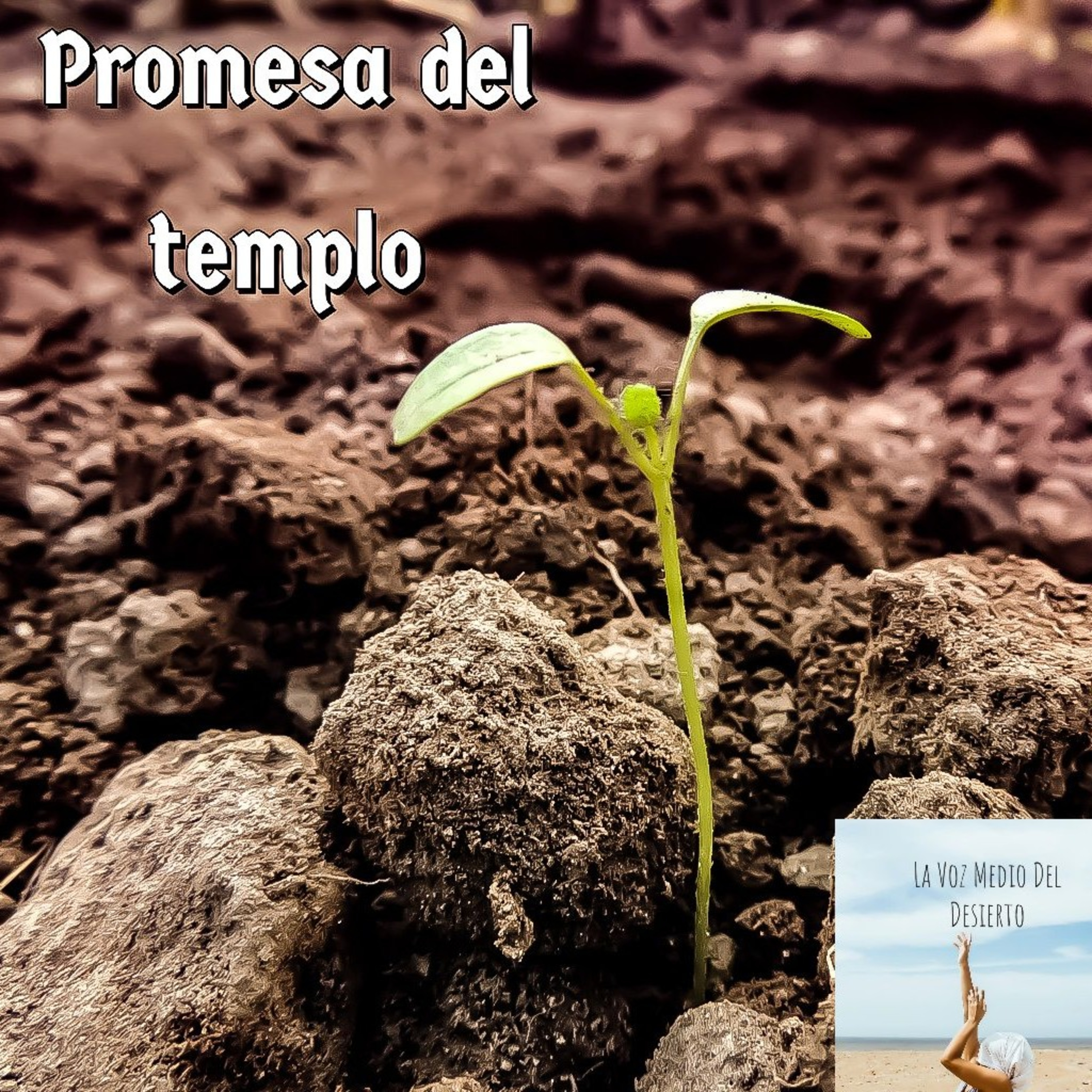 La Voz En Medio Del Desierto