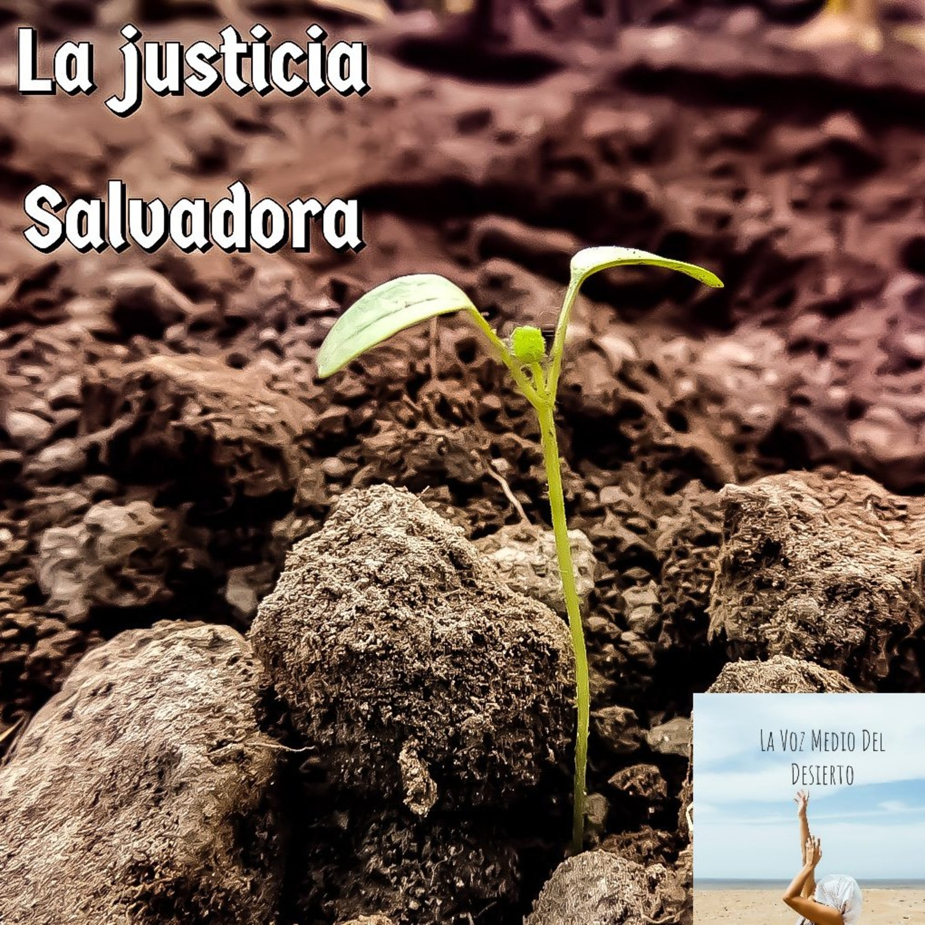 La Voz En Medio Del Desierto